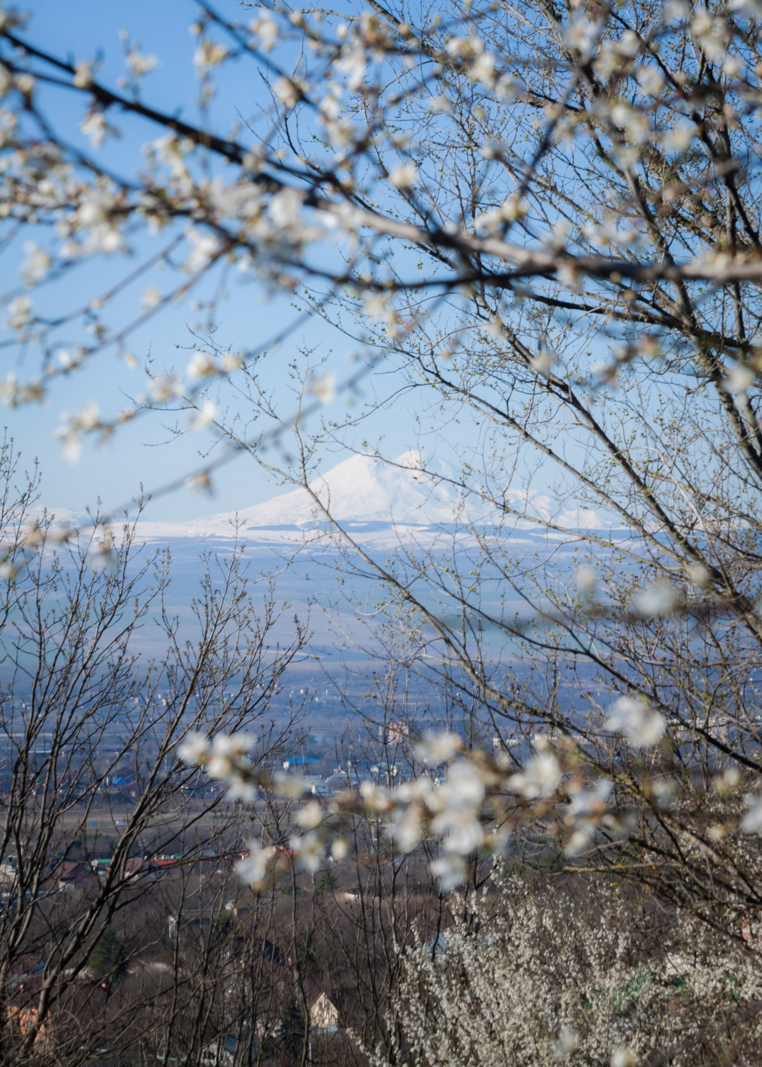 Белоснежные склоны Эльбруса и весна на КМВ