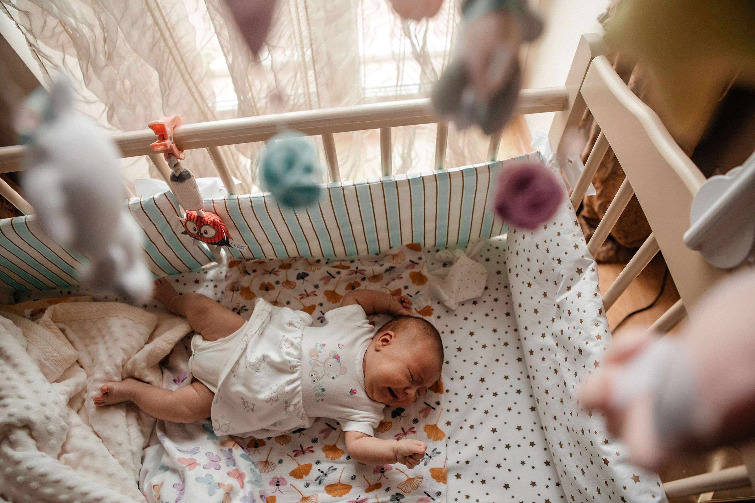 Алена+Сергей+Маша+Нельсон+Лилу. Семейный фотограф в Минске Саша Павлюк