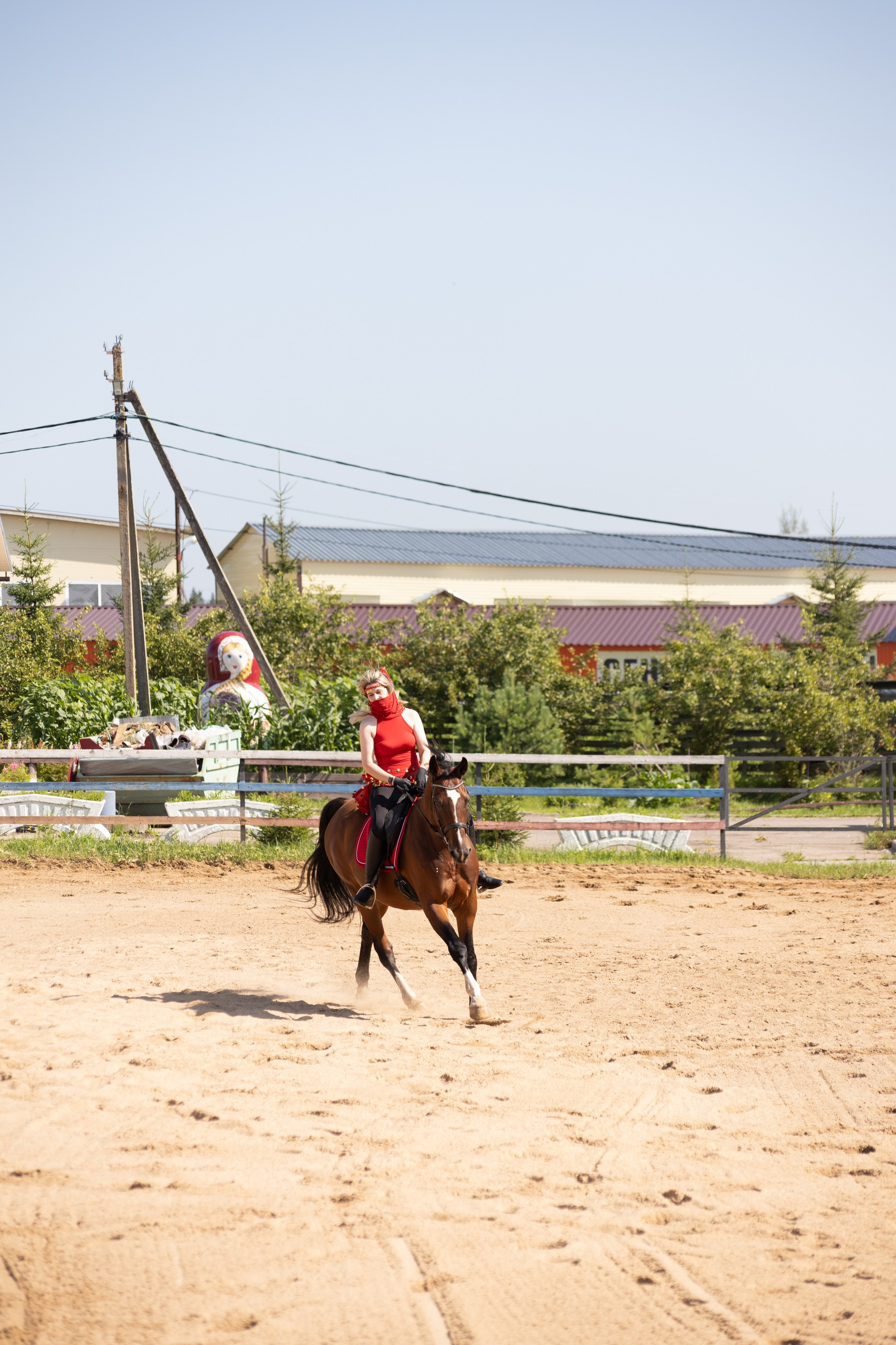 Конюшня. Фотограф в Москве и Истре