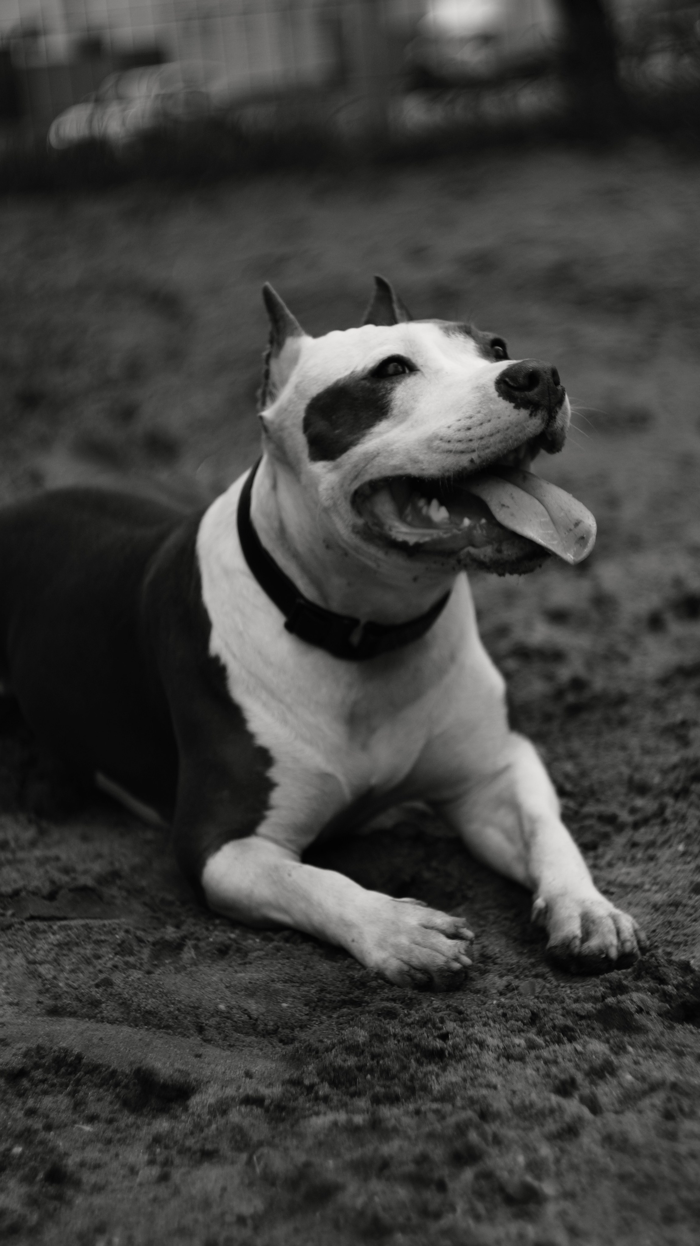 Луна. Профессиональный фотограф