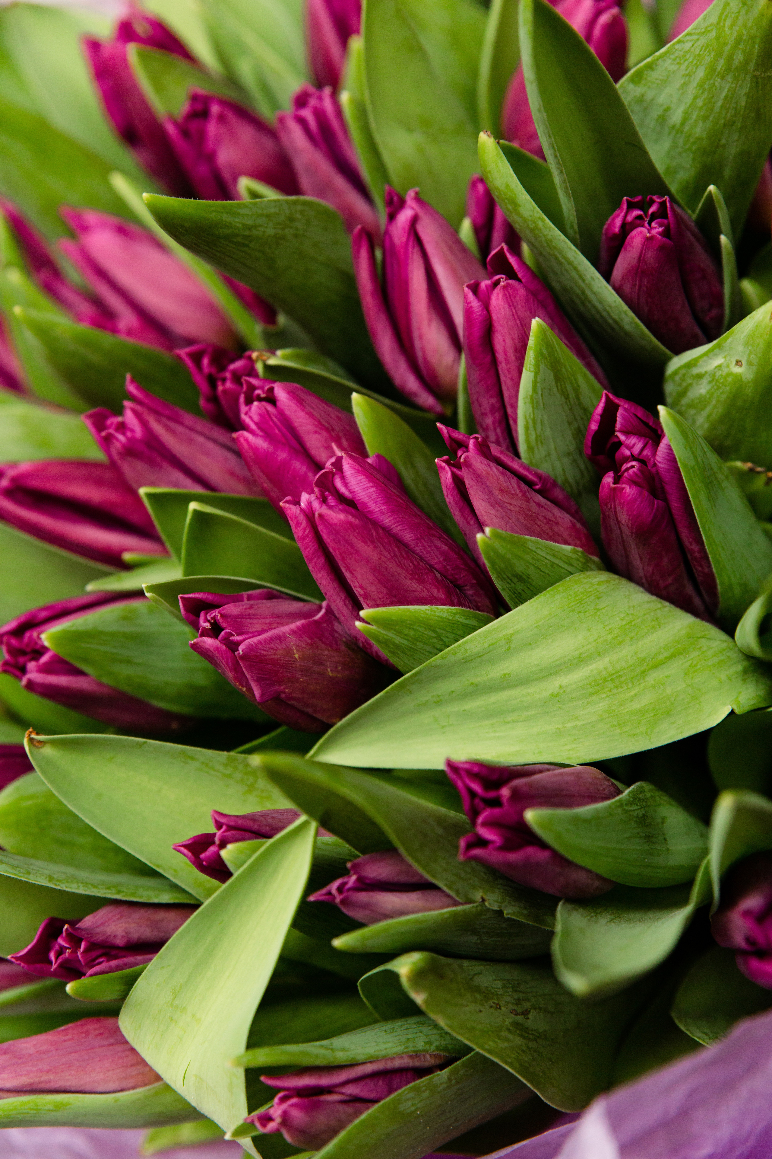 Контент-фотограф Александр Кожарский