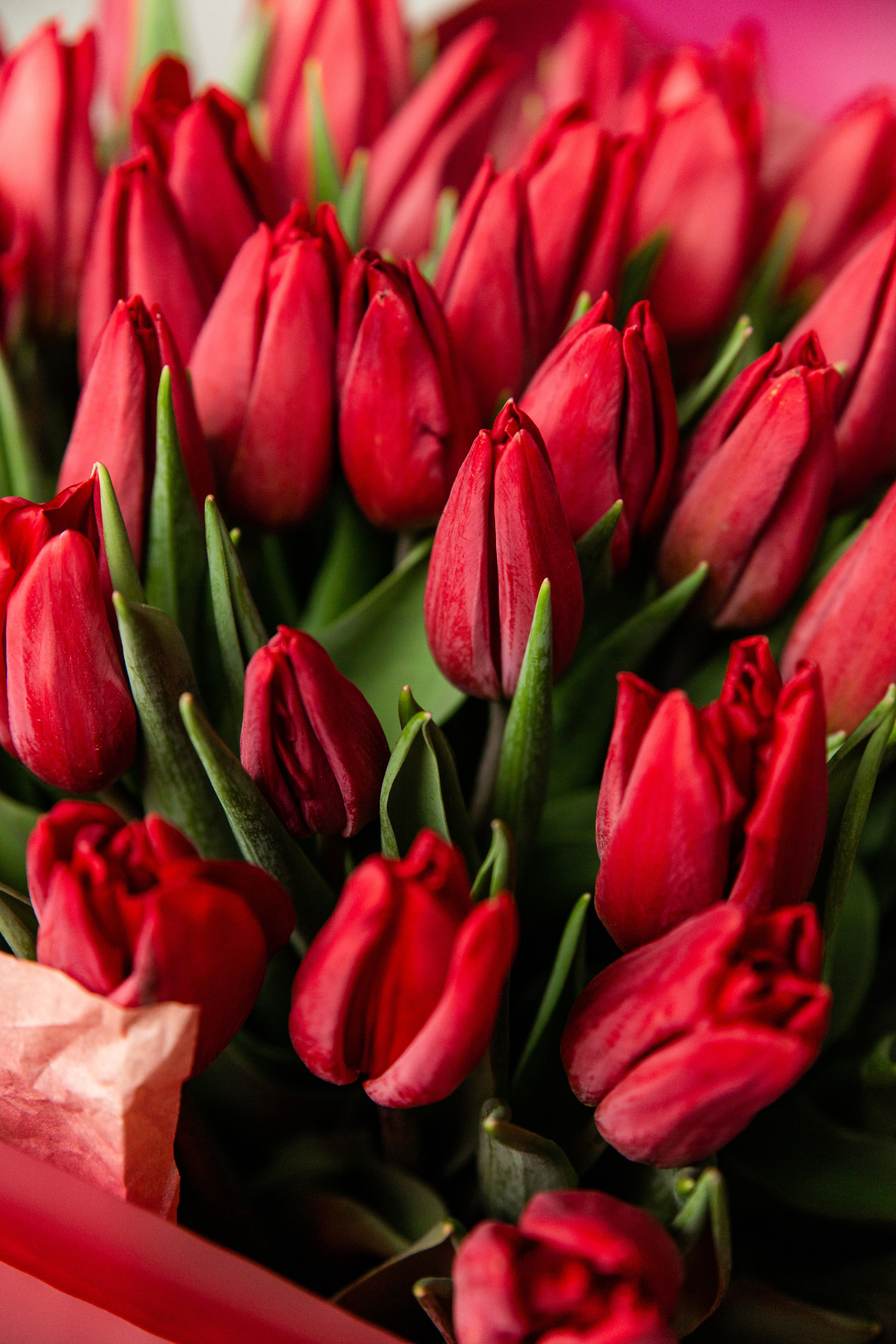 Контент-фотограф Александр Кожарский