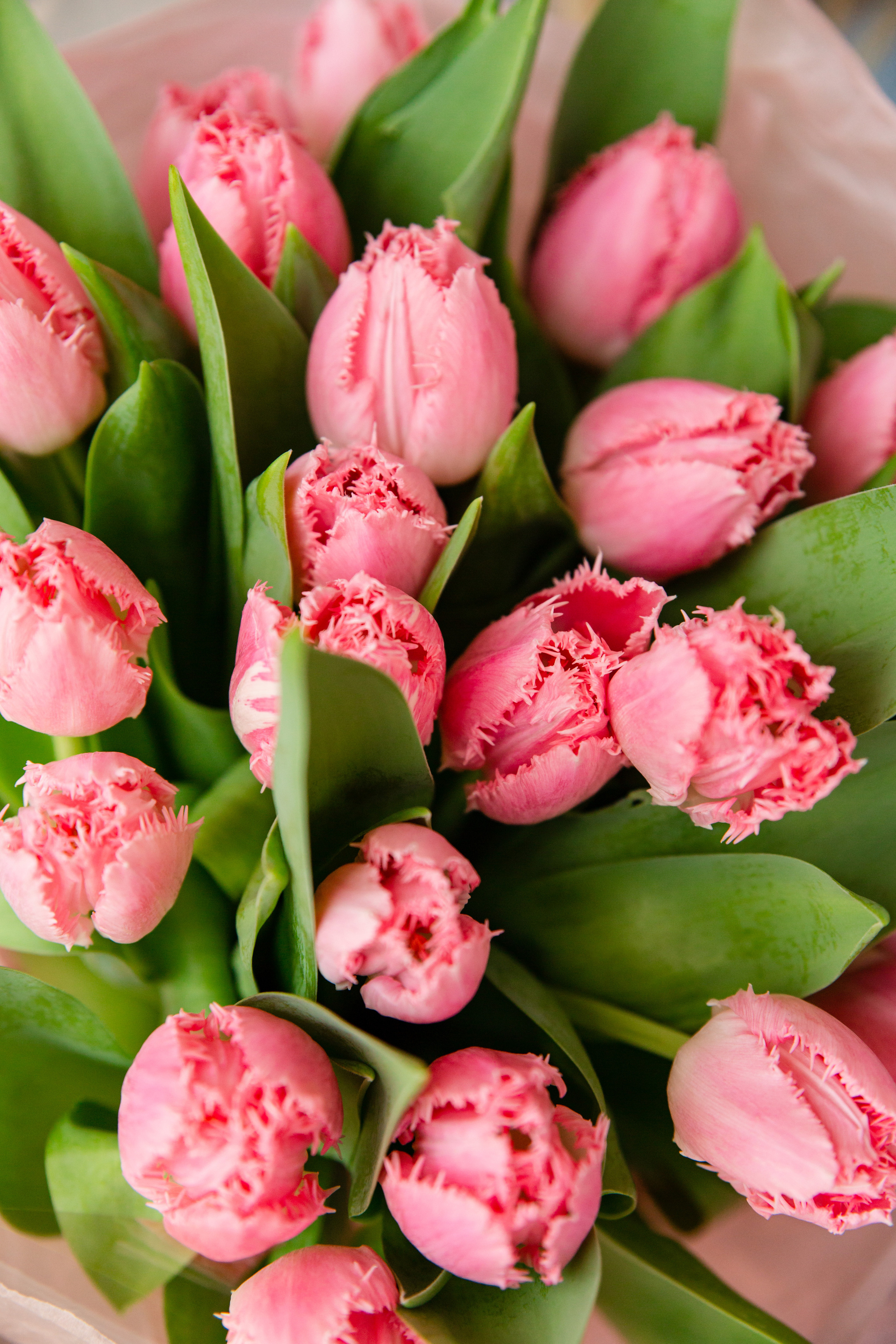 Предметный фотограф Александр Кожарский