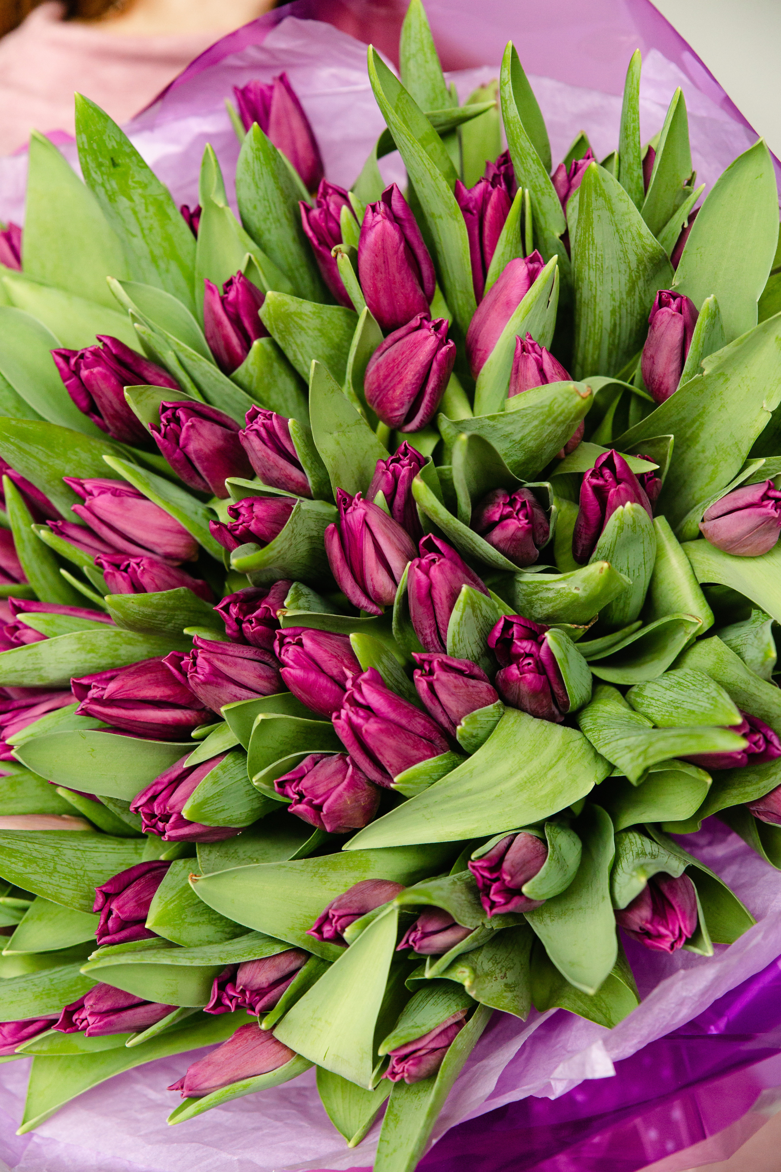 Контент-фотограф Александр Кожарский