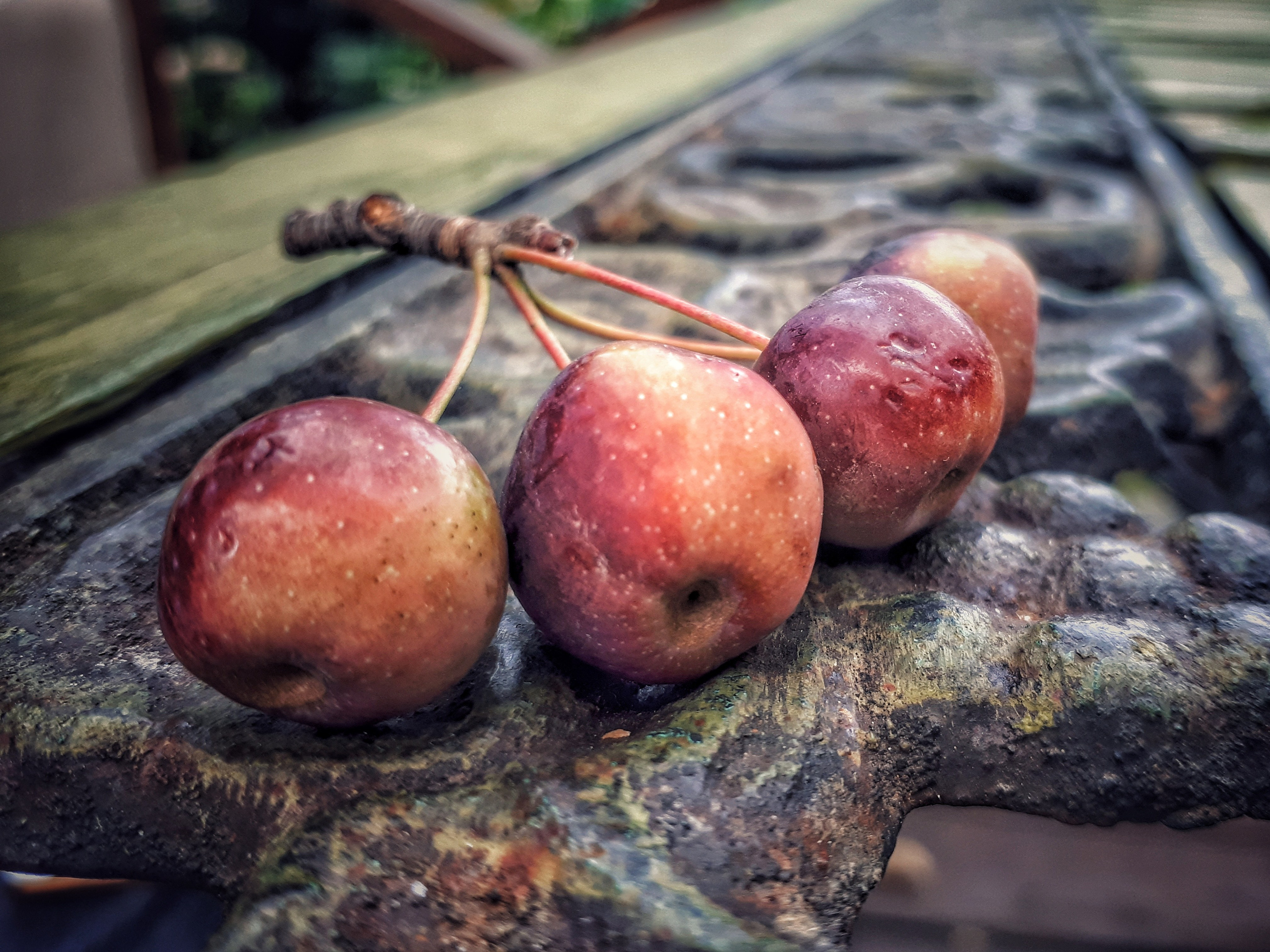 Фото на телефон. Фотошкола и фотокурсы в Абакане