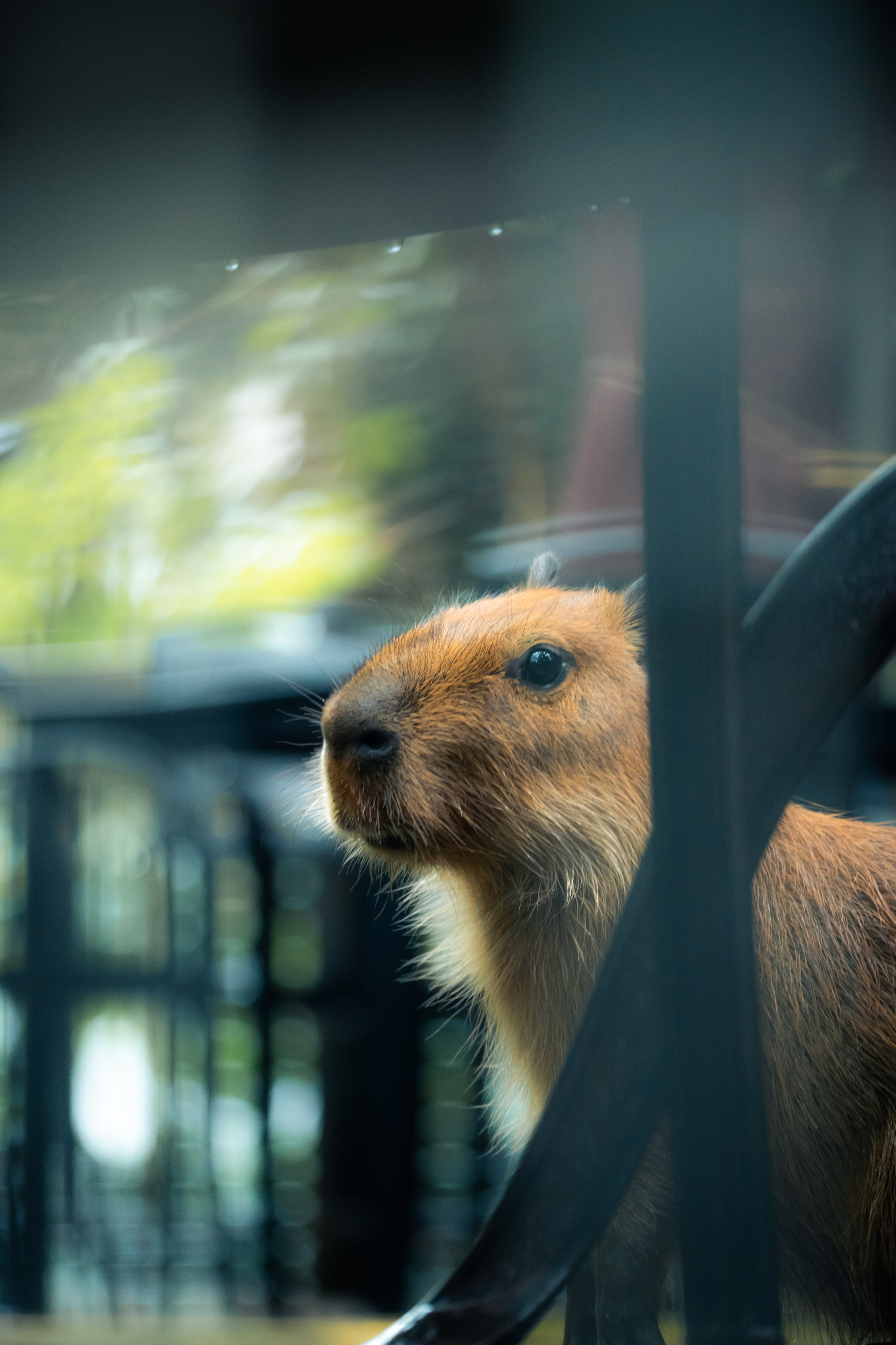 Портфолио Гончаренко Павел. Ма, я фотю📸