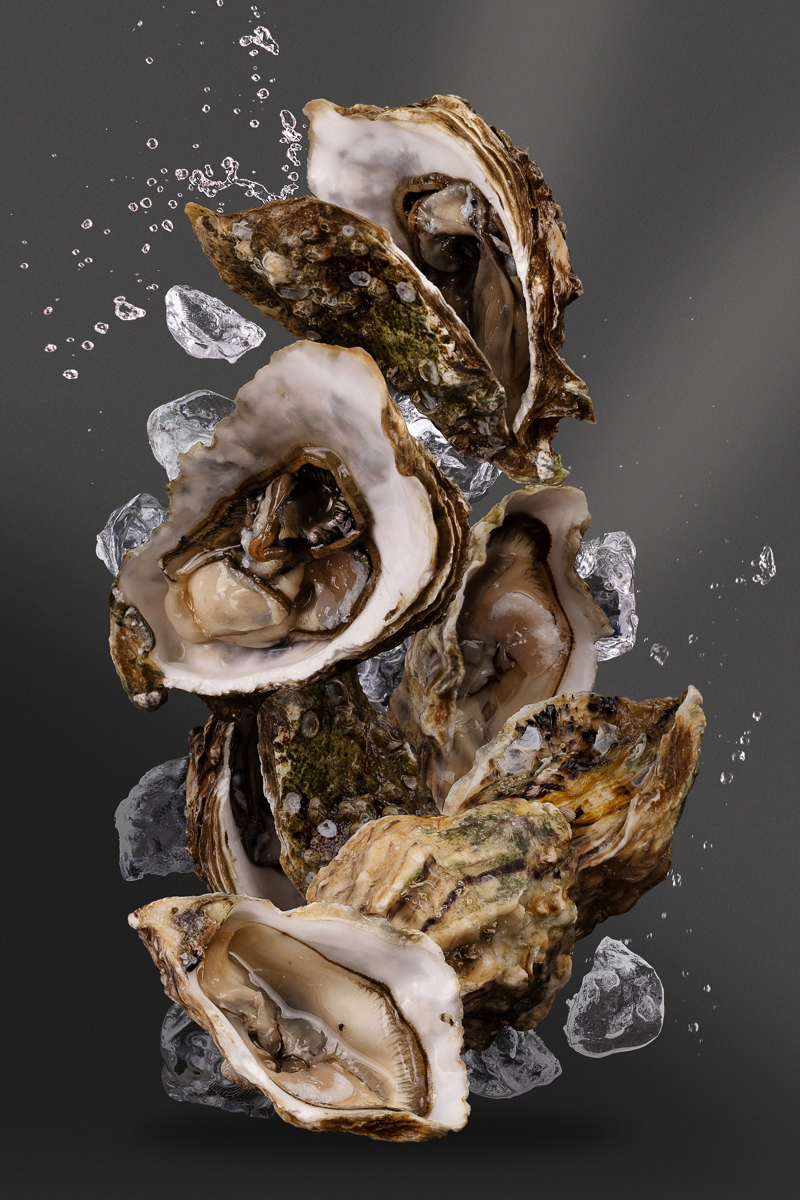 Samura advertising images. Юлия Космо — фуд-фотограф, предметный стилист, Москва