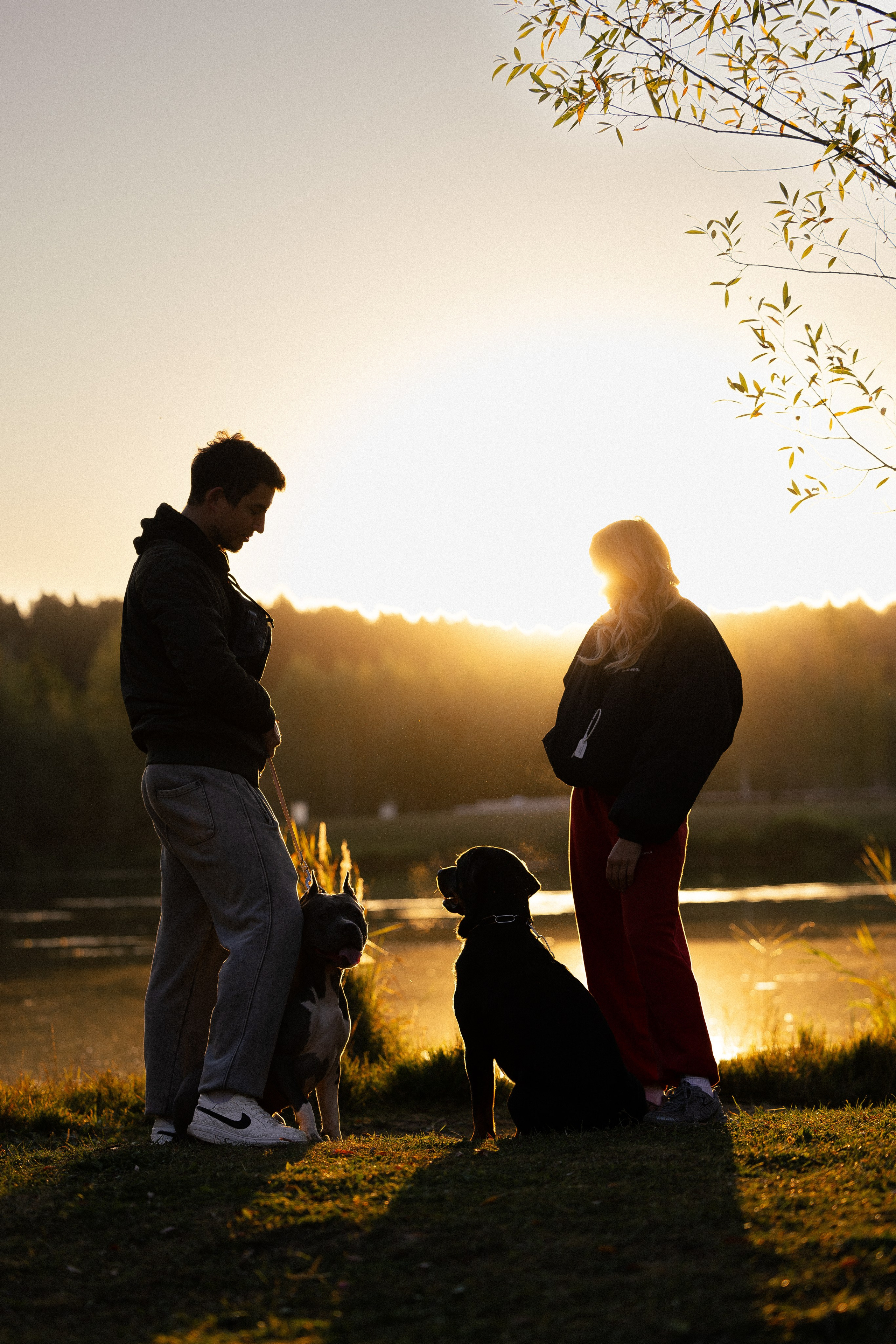 Катя, Леша, Лея и Трой. Фотограф и видеограф анималист Аганина Дарья