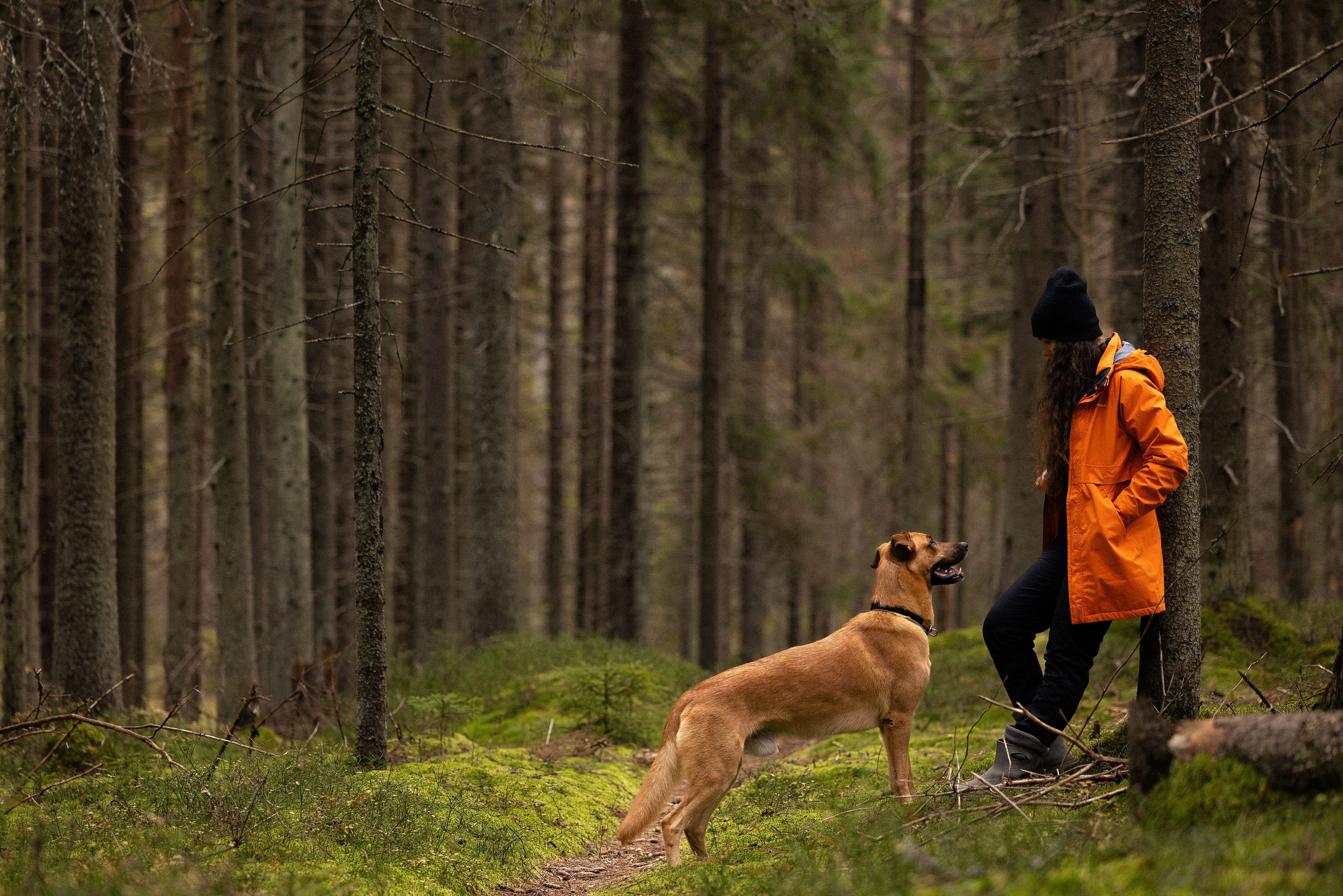 Karelia. Фотограф и видеограф анималист Аганина Дарья