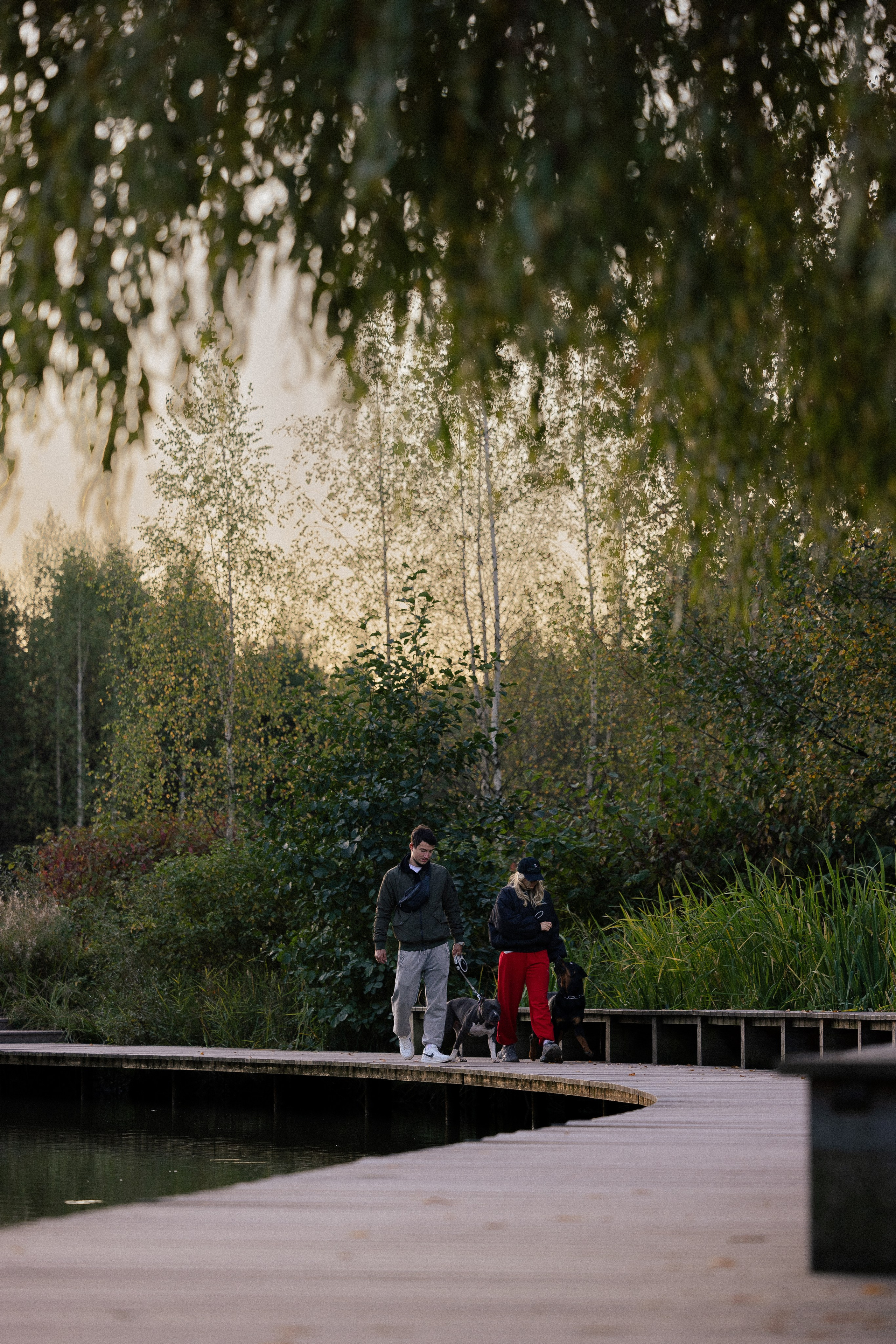 Катя, Леша, Лея и Трой. Фотограф и видеограф анималист Аганина Дарья