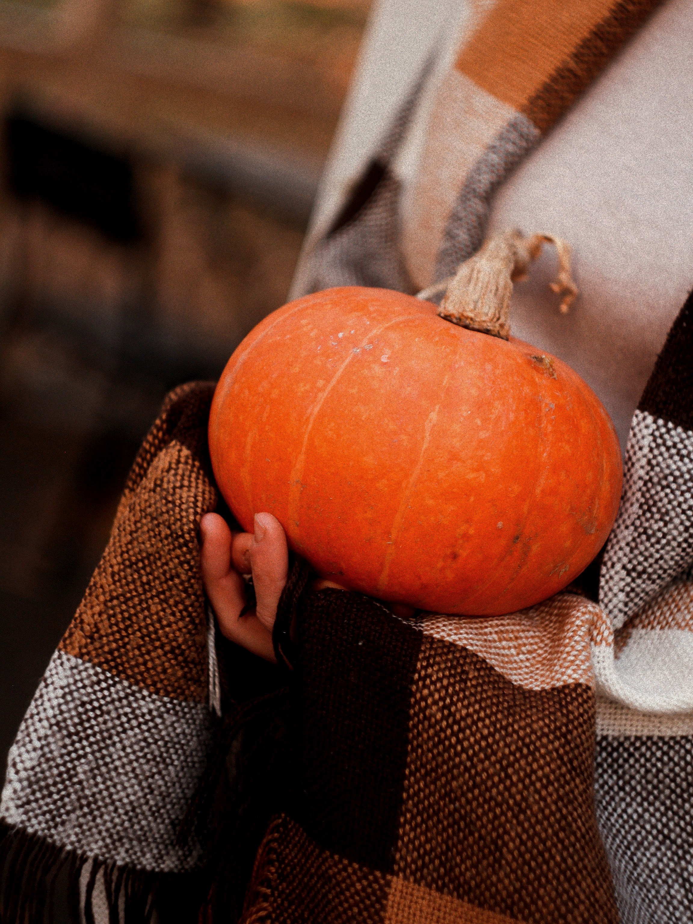 Осень и тыквы. Photography Eva