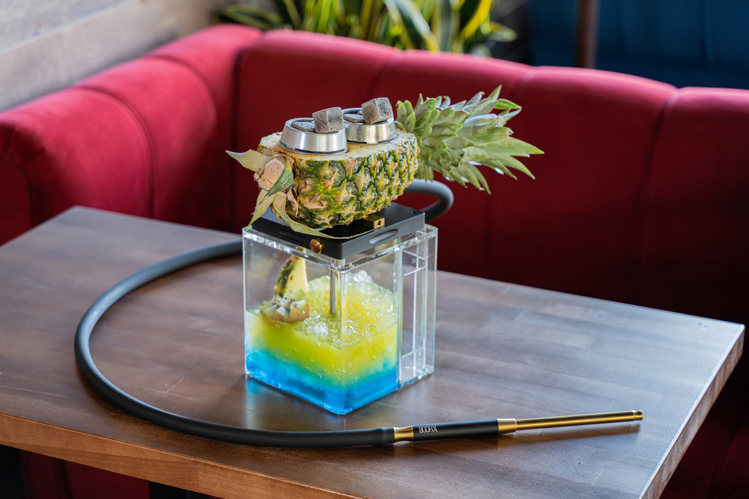 Фуд съемка. Репетитор по биологии и химии ОГЭ ЕГЭ и нейрофотограф — Елизавета