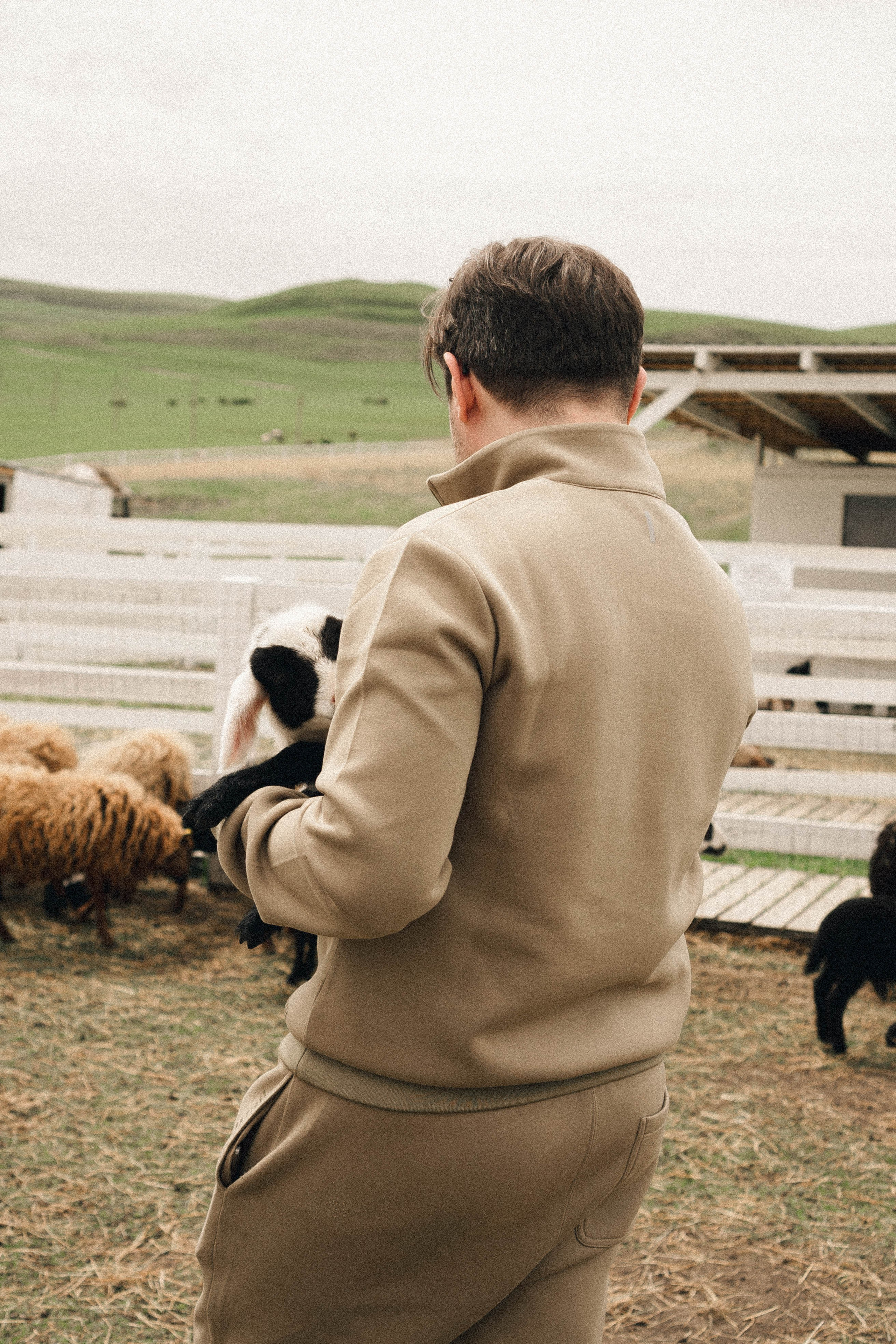 Ферма Альпак. Профессиональный фотограф, Санкт-Петербург — Виктория Богомолова