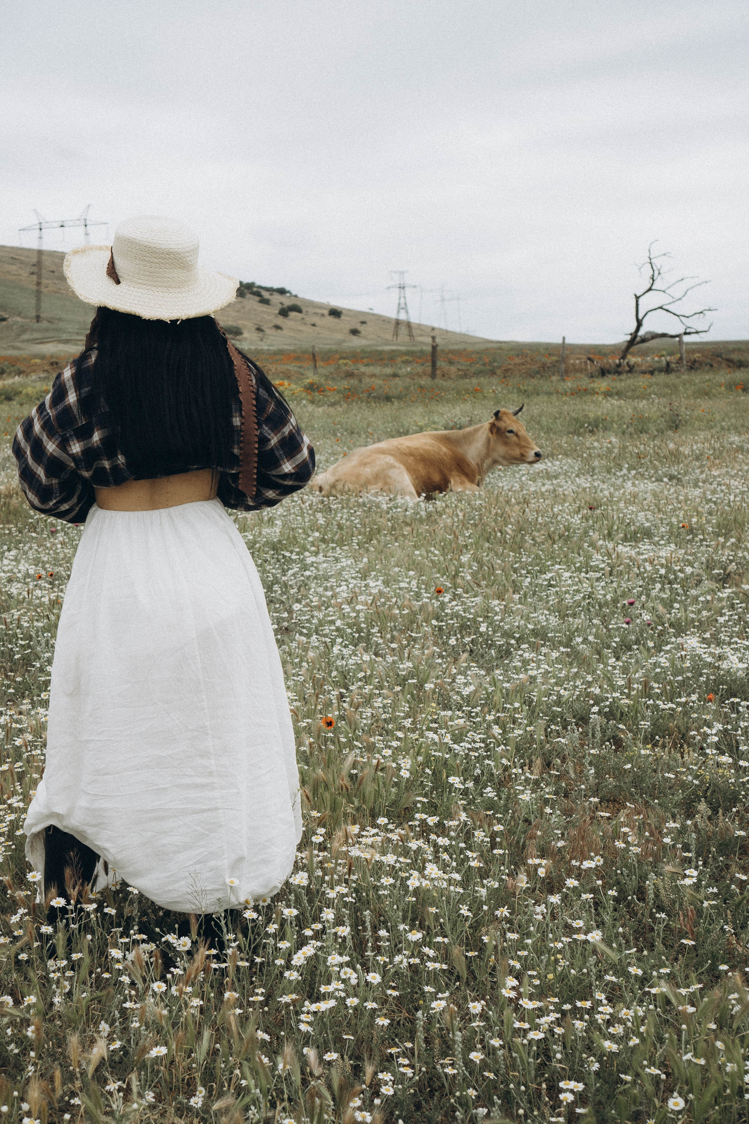 Маковое поле. Профессиональный фотограф, Санкт-Петербург — Виктория Богомолова