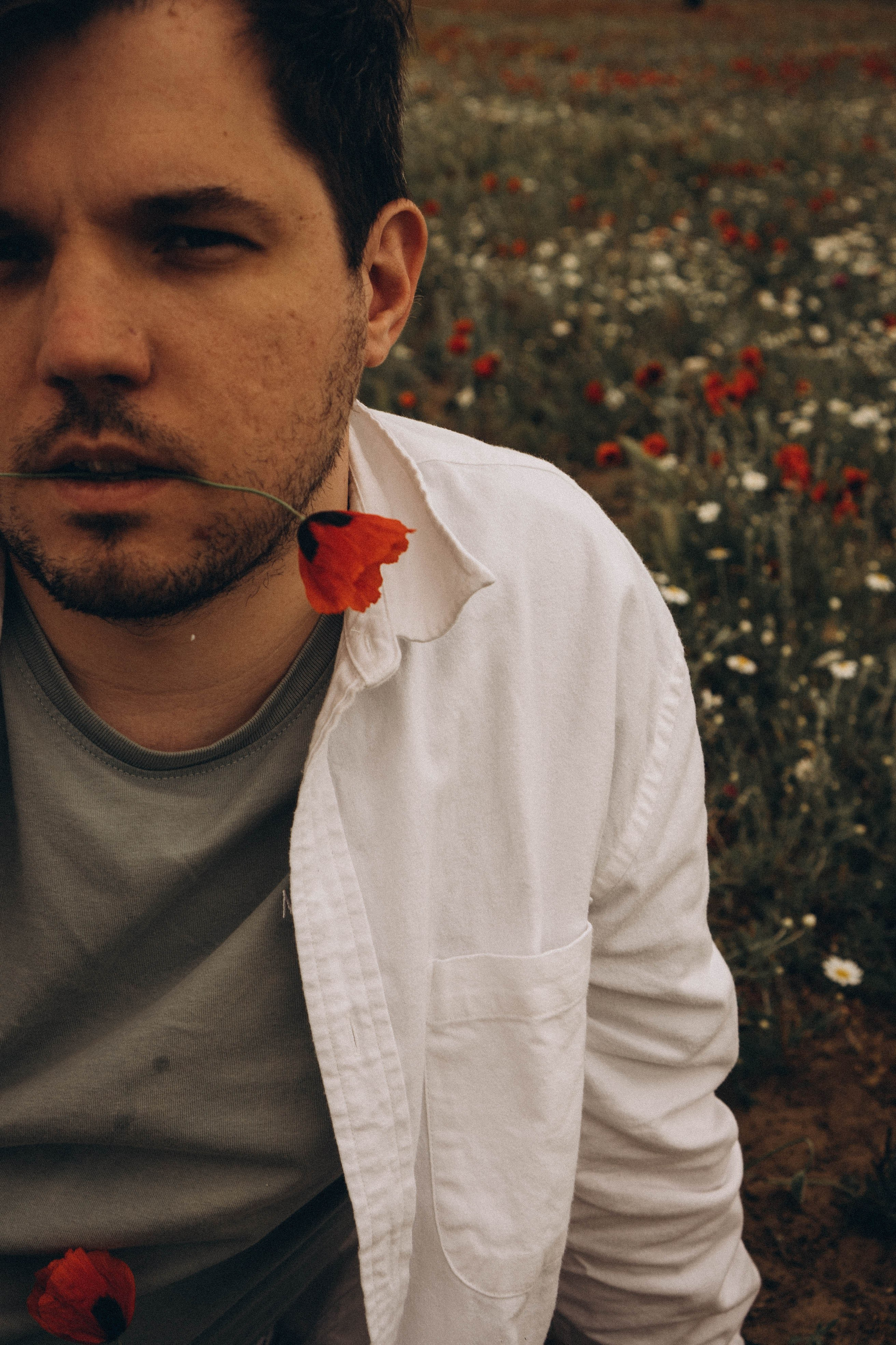 Маки. Профессиональный фотограф, Санкт-Петербург — Виктория Богомолова