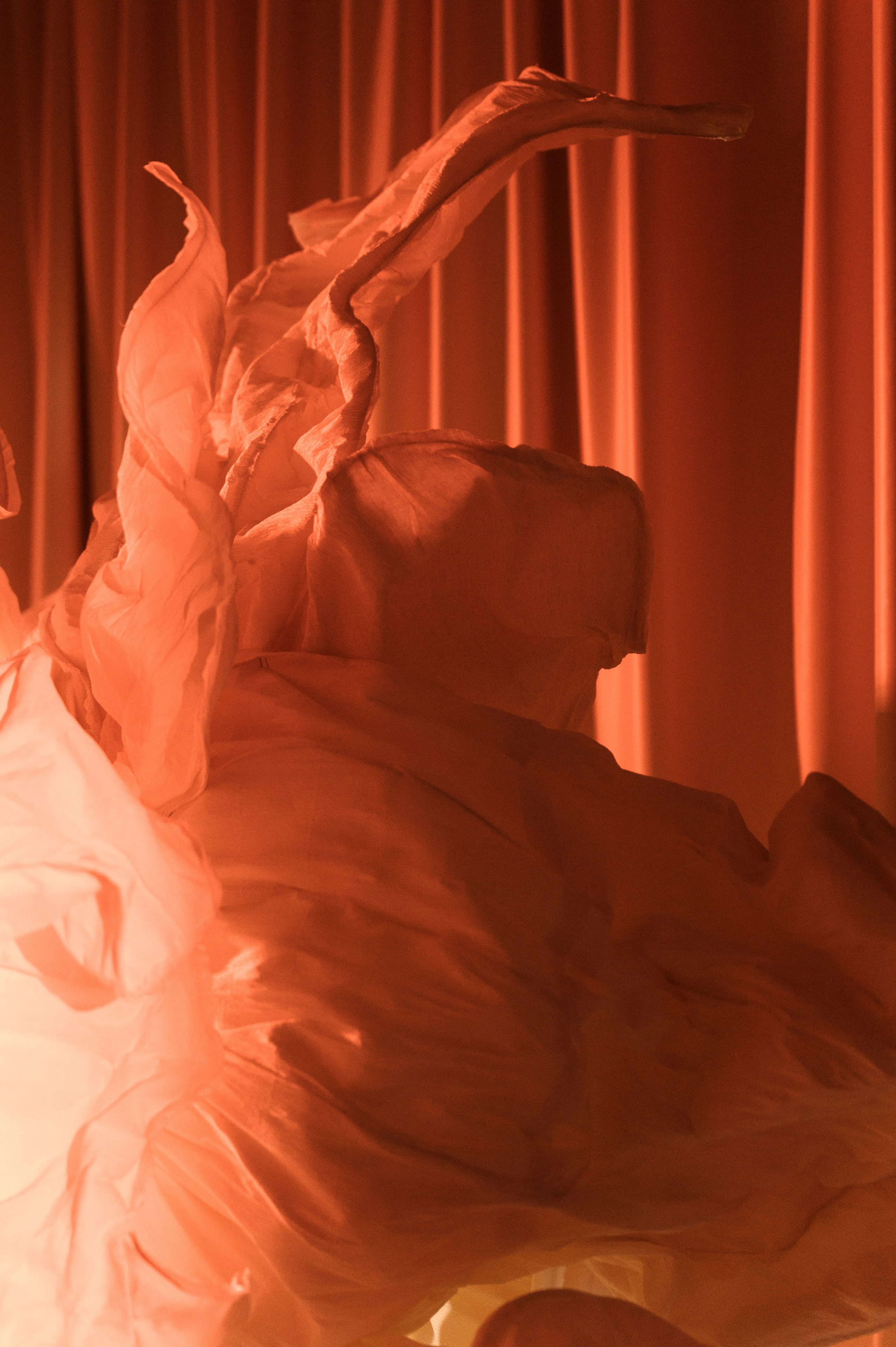 Саша и Лиза. Свадебный фотограф и видеограф