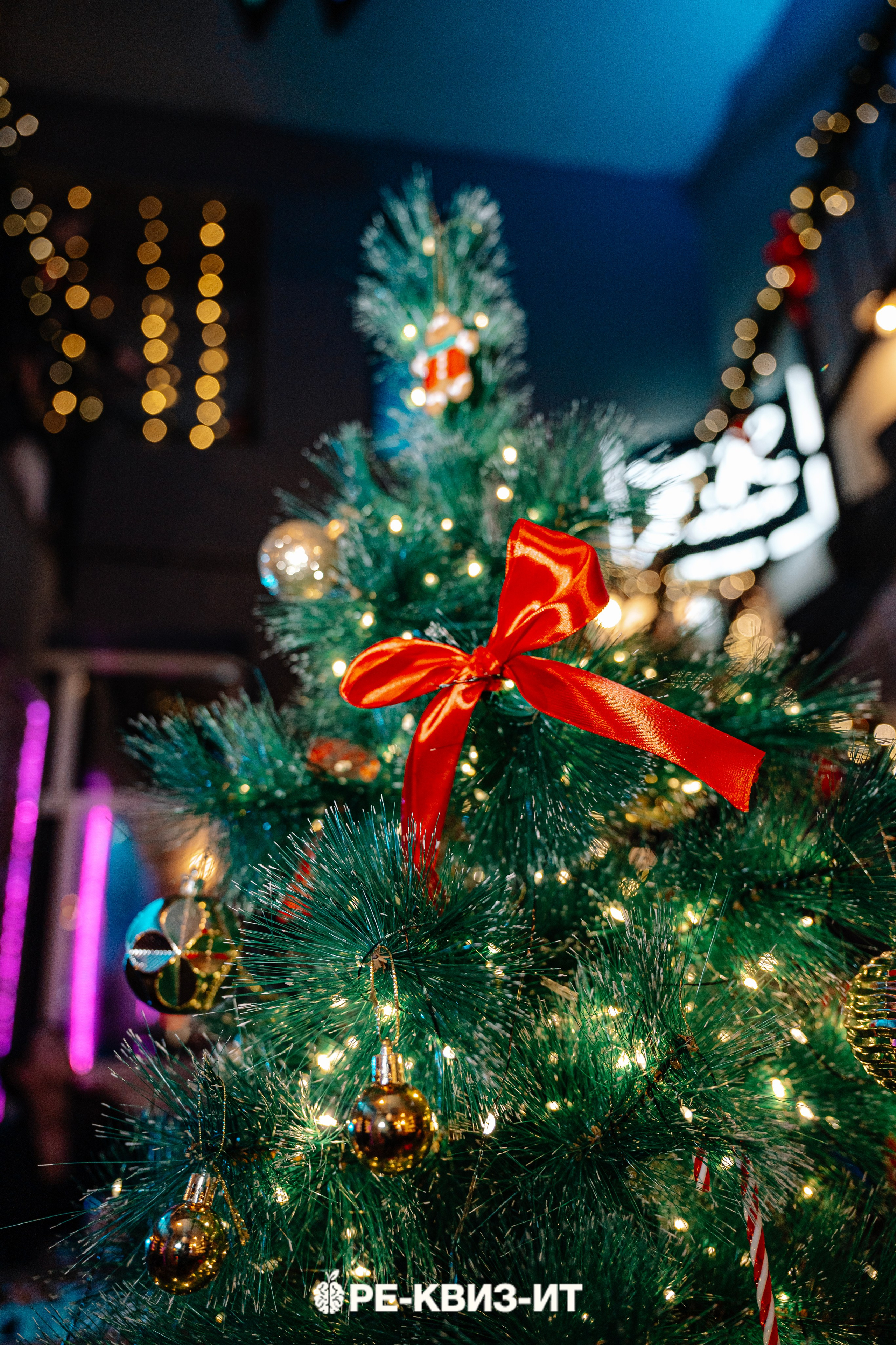 Реквизит — квиз в Зеленодольске и Волжске ZR cafe. Свадебный фотограф в Казани, и Зеленодольске Радик Мухаметов