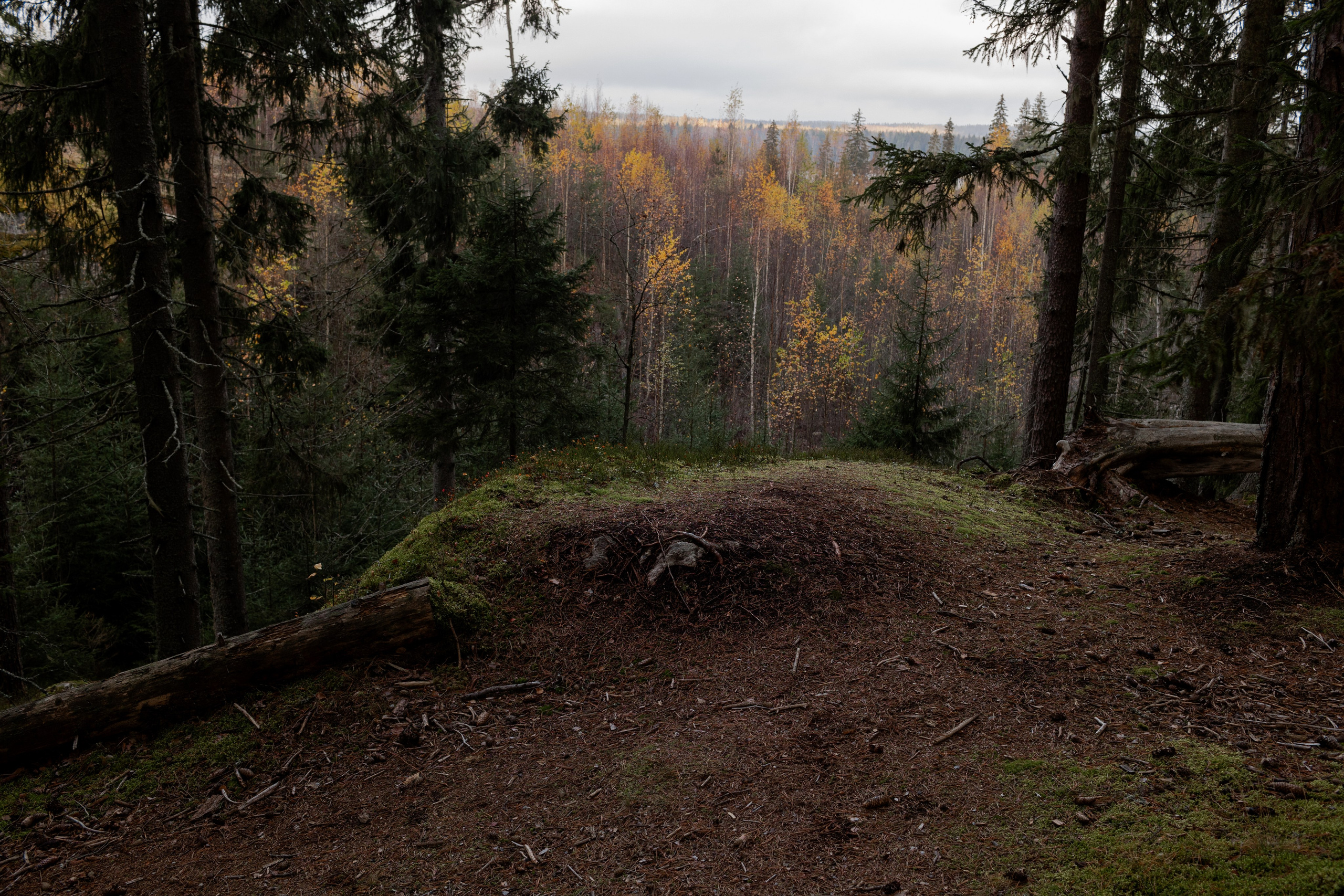 Съемка для глемпинг-отеля Хюгге Кэмп. Природа. Саша Кушнерова Фотографии. Sasha Kushnerova Photos