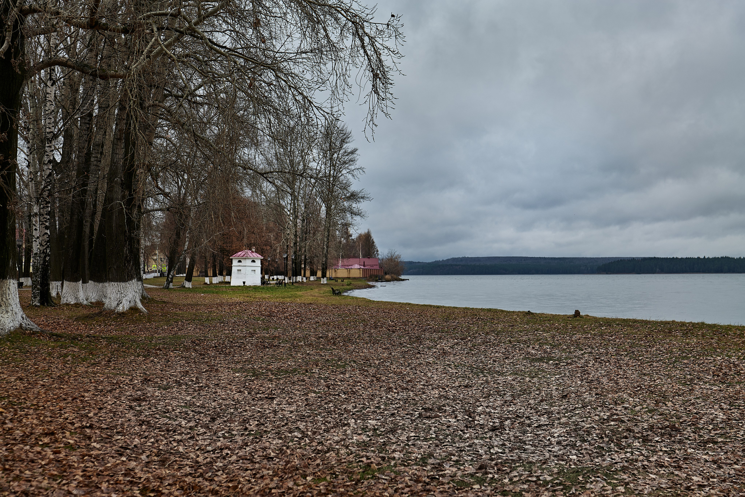 Владимир Власюк