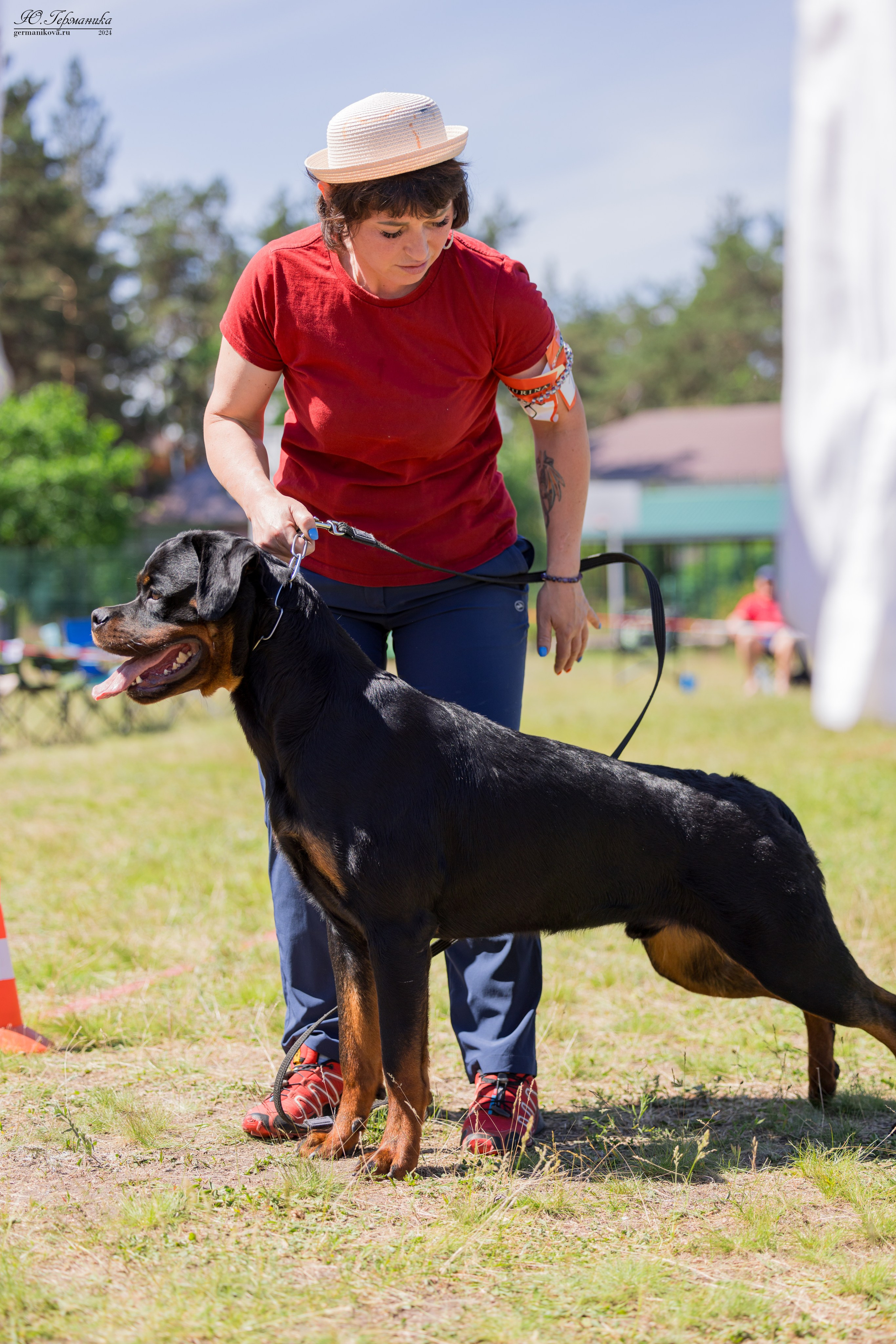 Воронеж моно ротвейлеров 25-26.05.2024. Фотограф-анималист Юлия Германика