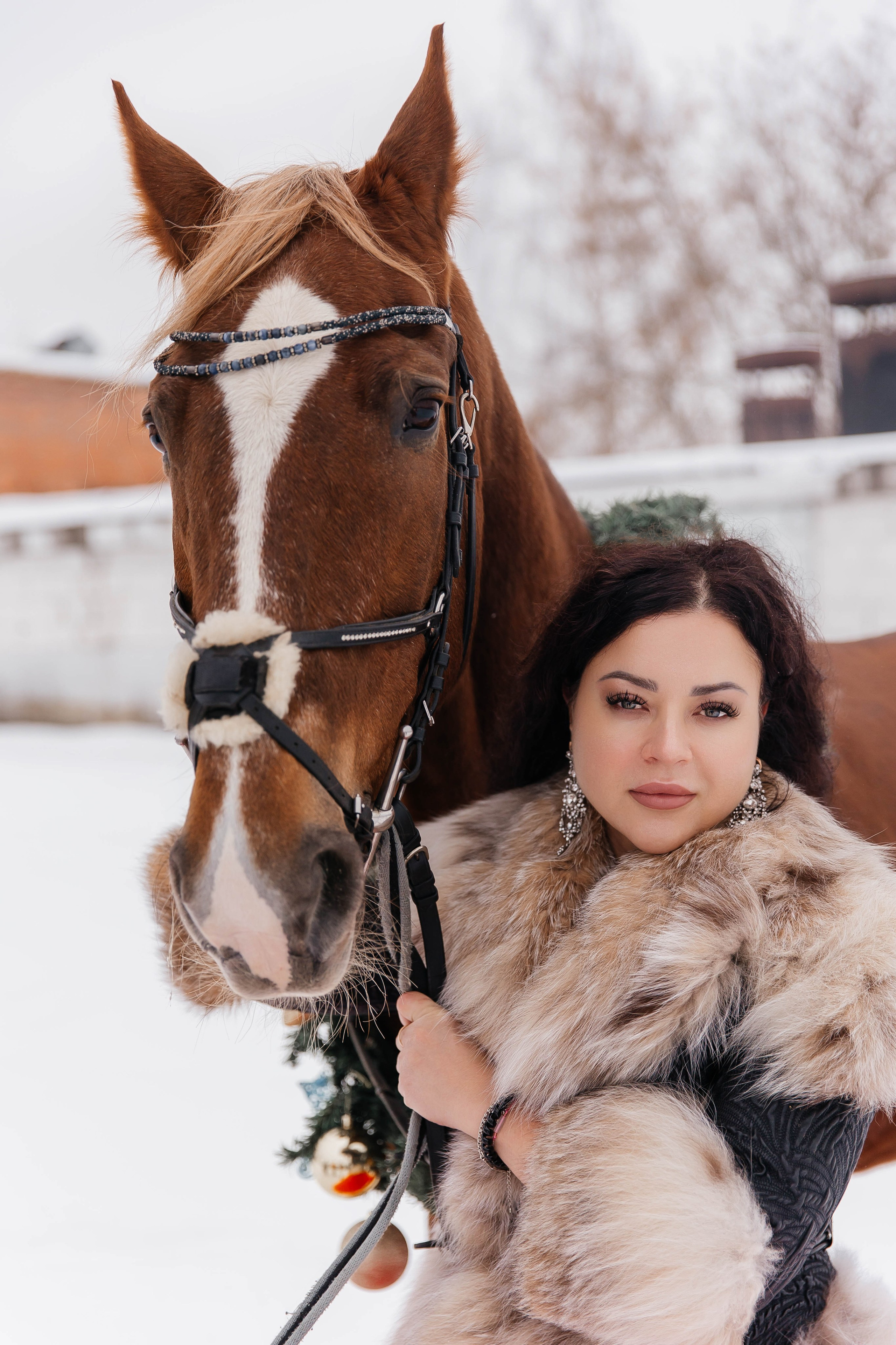 Лошади. Ваш фотограф в Москве и области Юлия