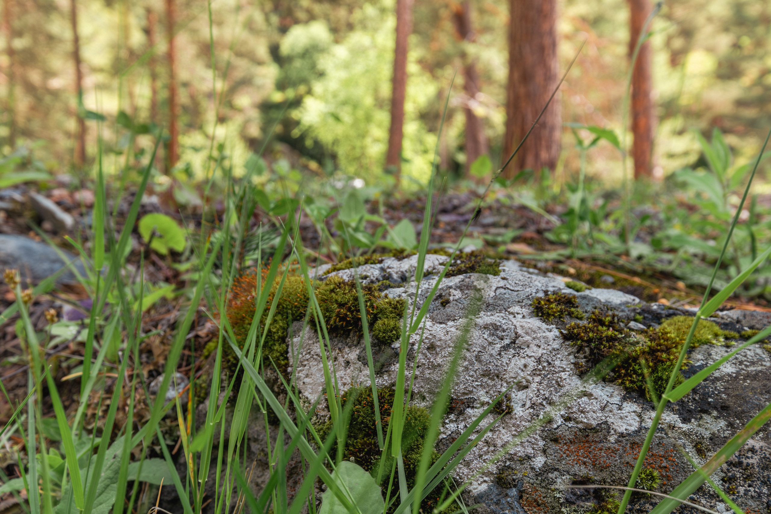 Фотосъемка отеля «Эклер» в КБР