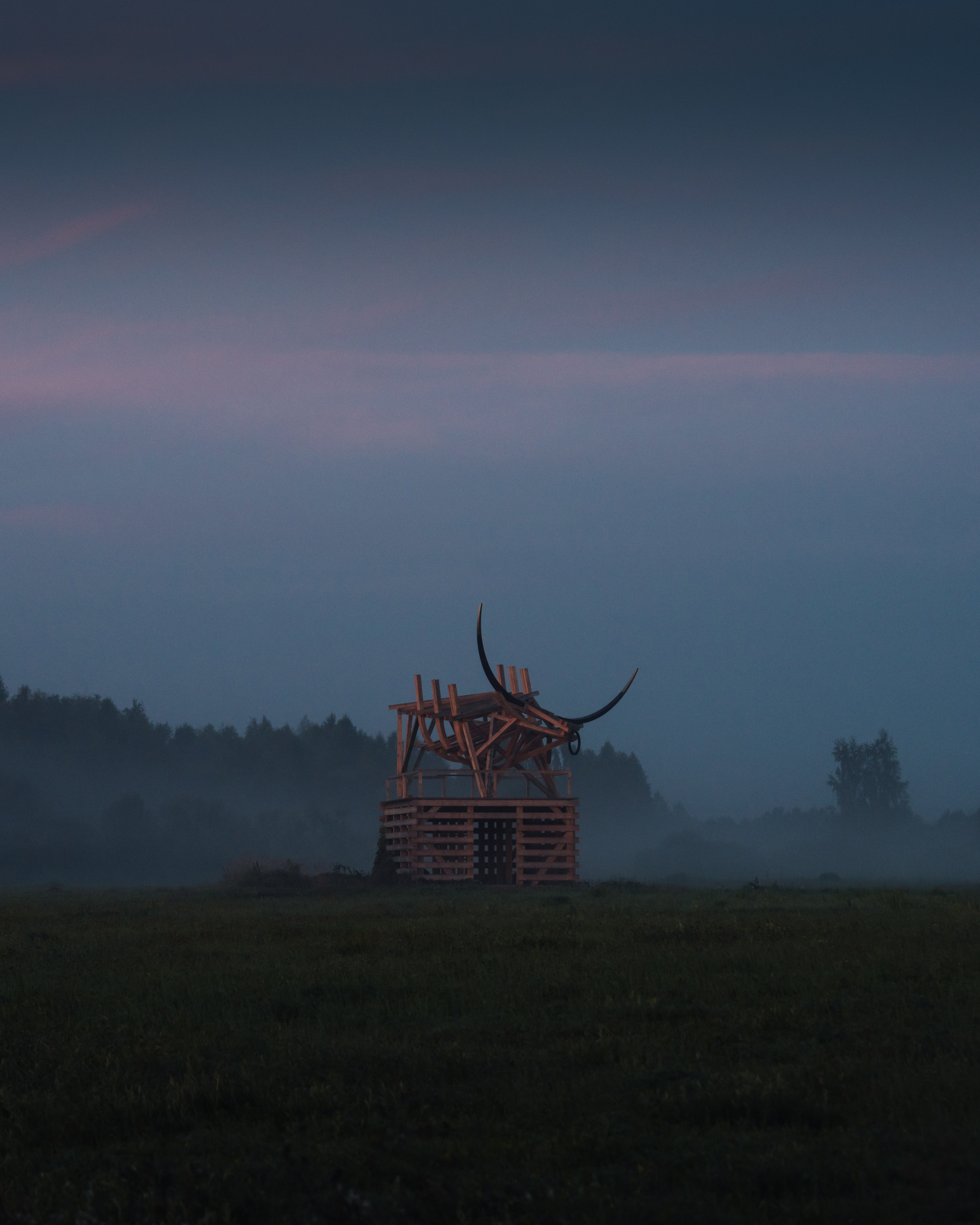 Signal 2024. @tomrus: Рустам Шагиморданов — фотограф