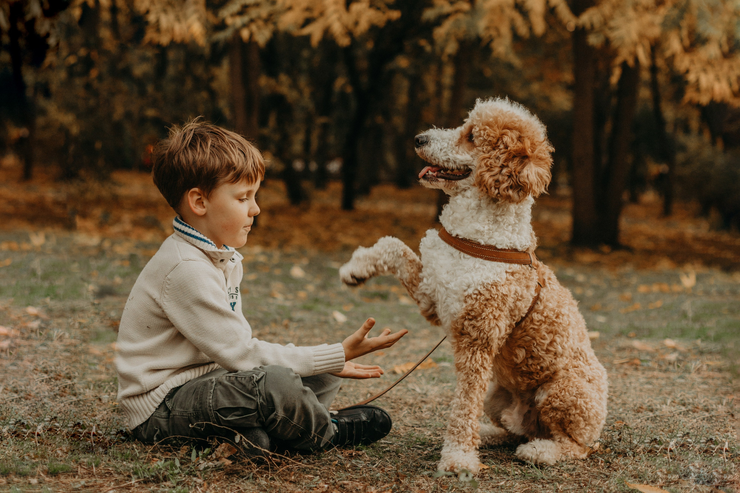 Пуф и его семья. Фотограф в Краснодаре Евгения Михаевич