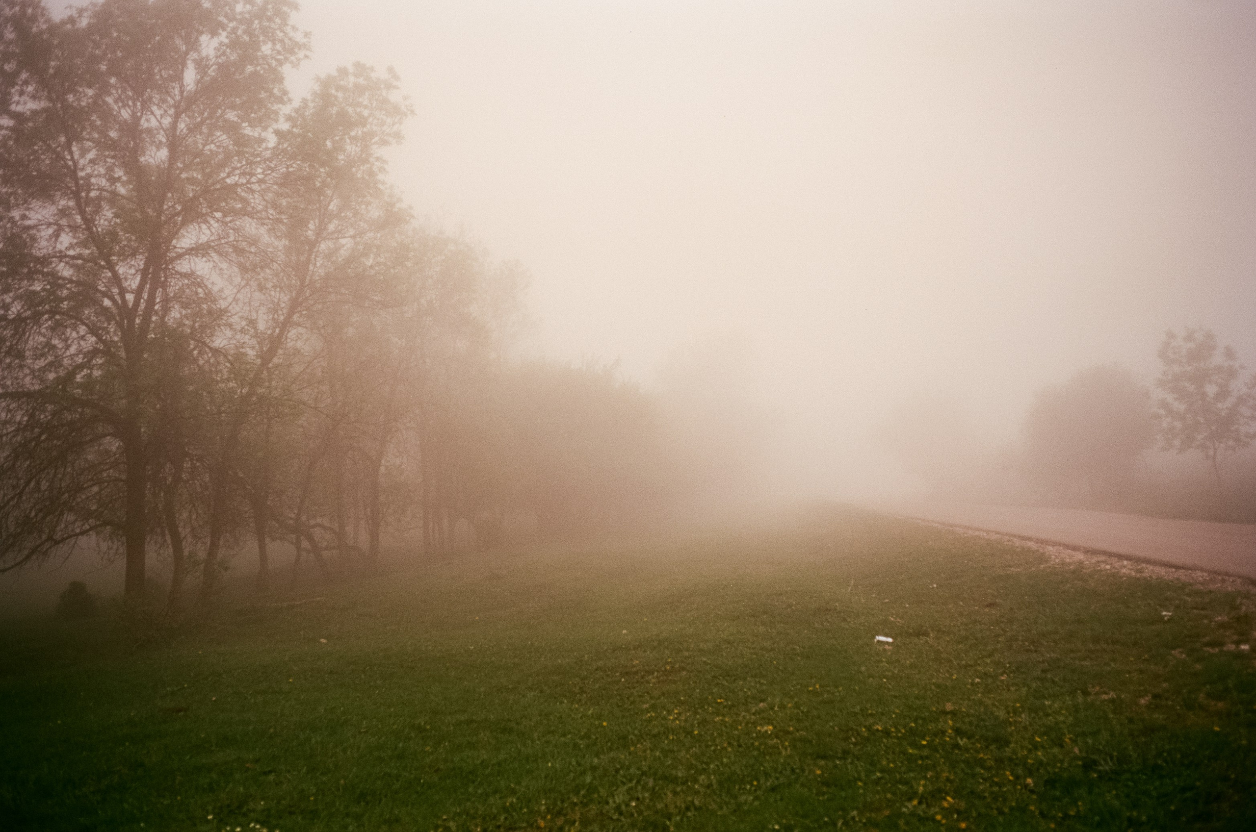 Кисловодск, дорога в сторону метеостанции, туман, лошади / Voigtlander
