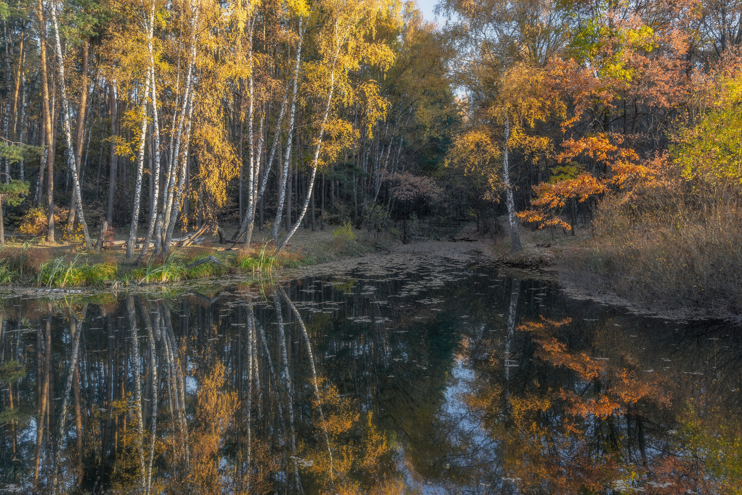 Природа (Осень). Фотограф Мартыненко Дмитрий
