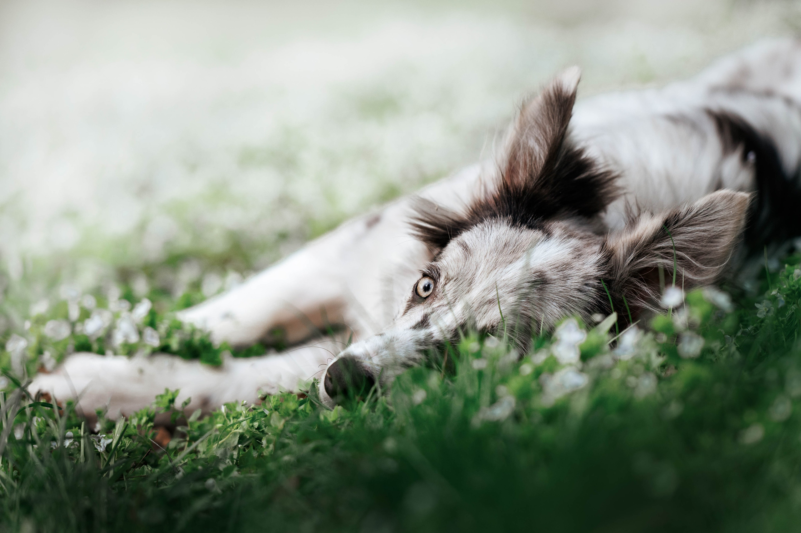Весна на ВДНХ. Фотограф-анималист