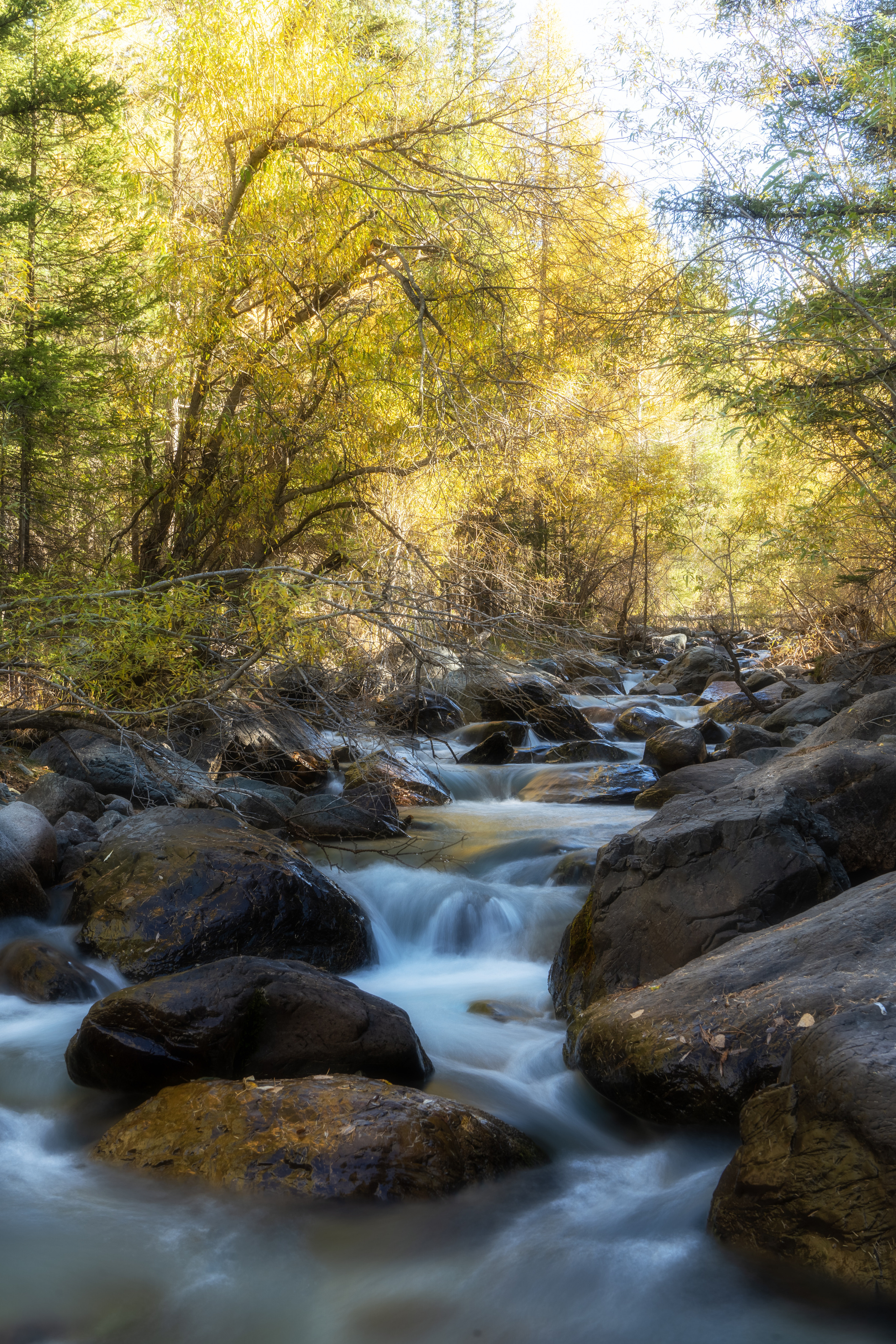 Пейзажная фотография. Спортивный и пейзажный фотограф в Барнауле Руслан Нигматуллин
