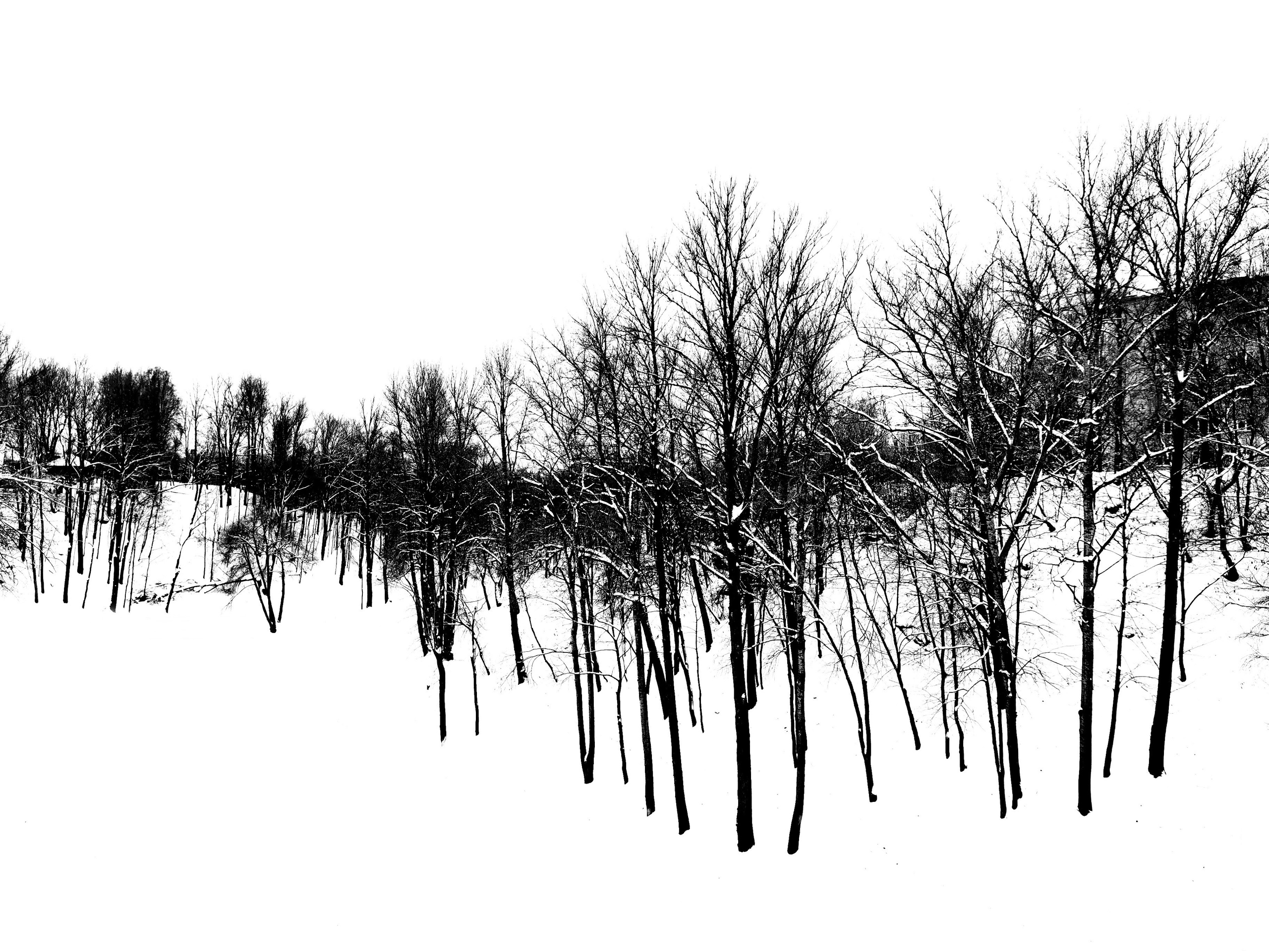 Витебск 2023. Фотограф Антон Швец — Монохромная реальность