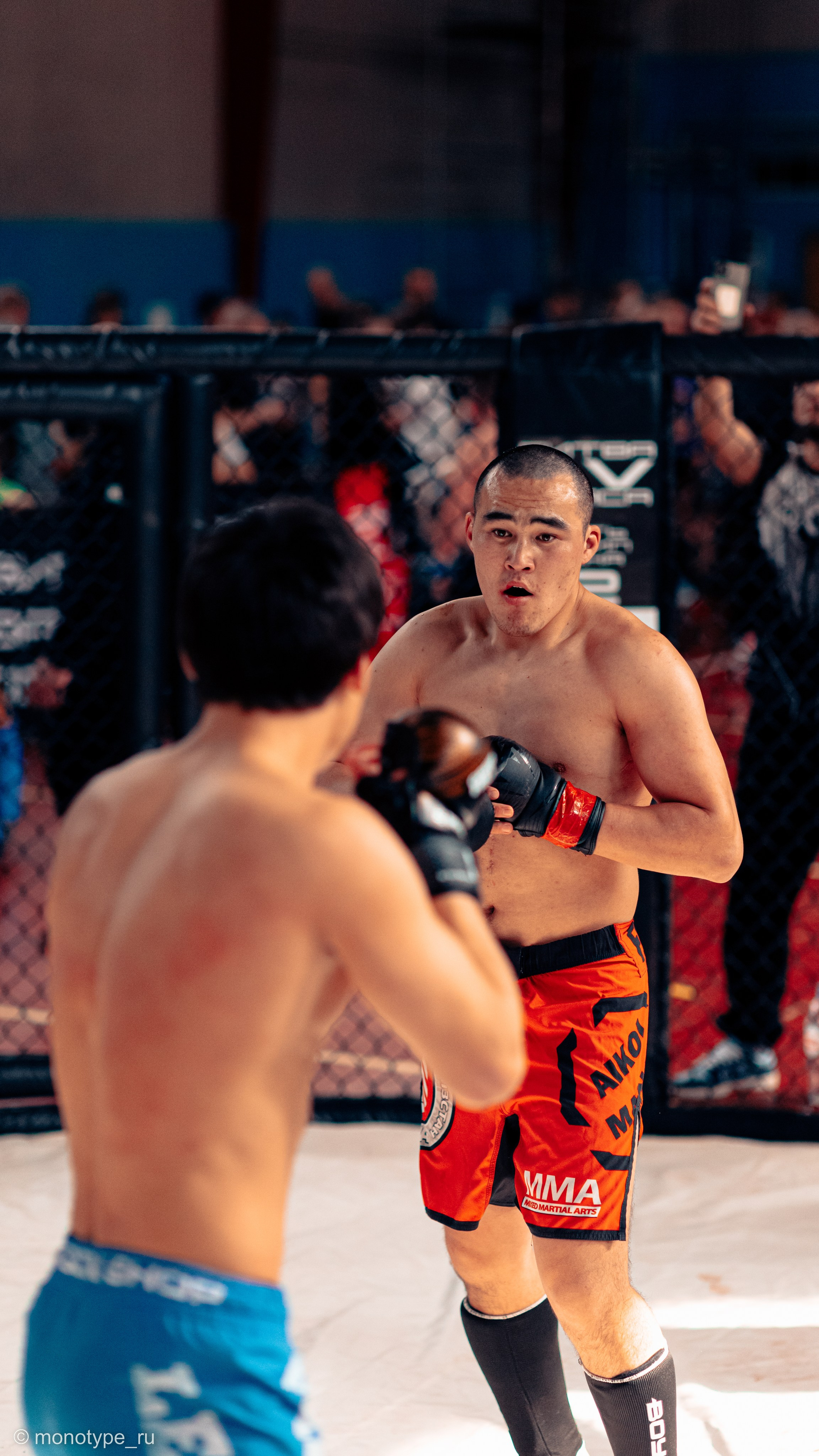 MMA. Бойцовский турнир