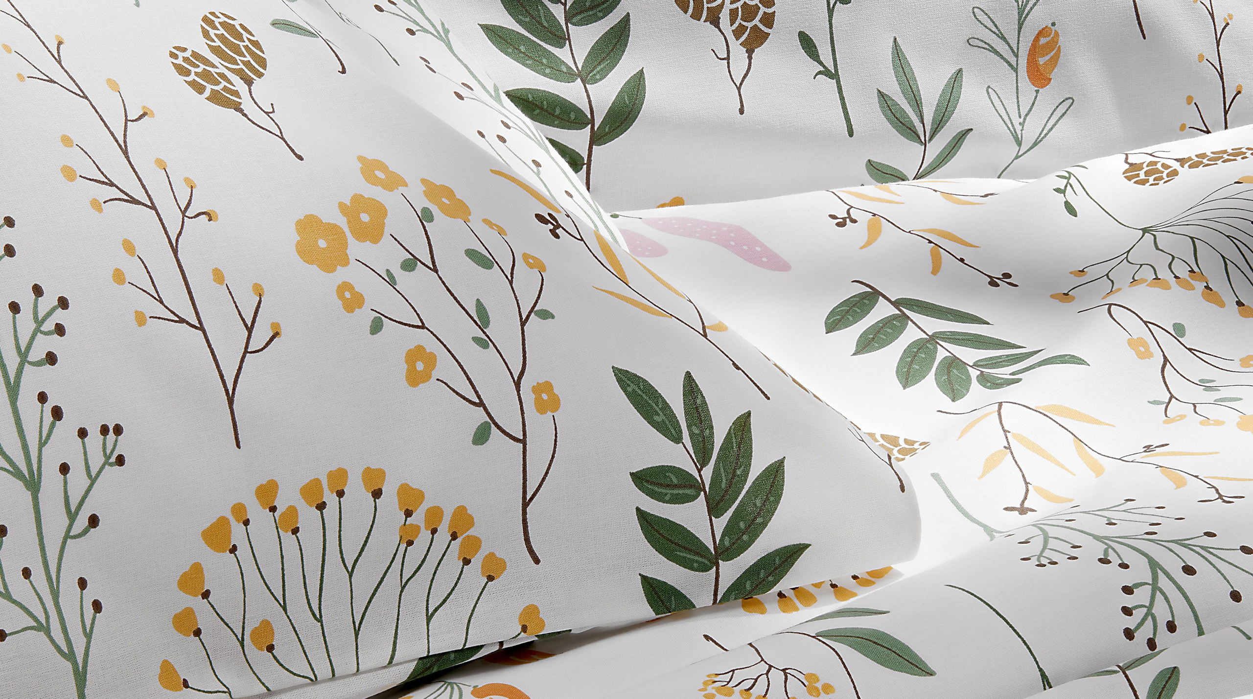 Олег Дмитриев