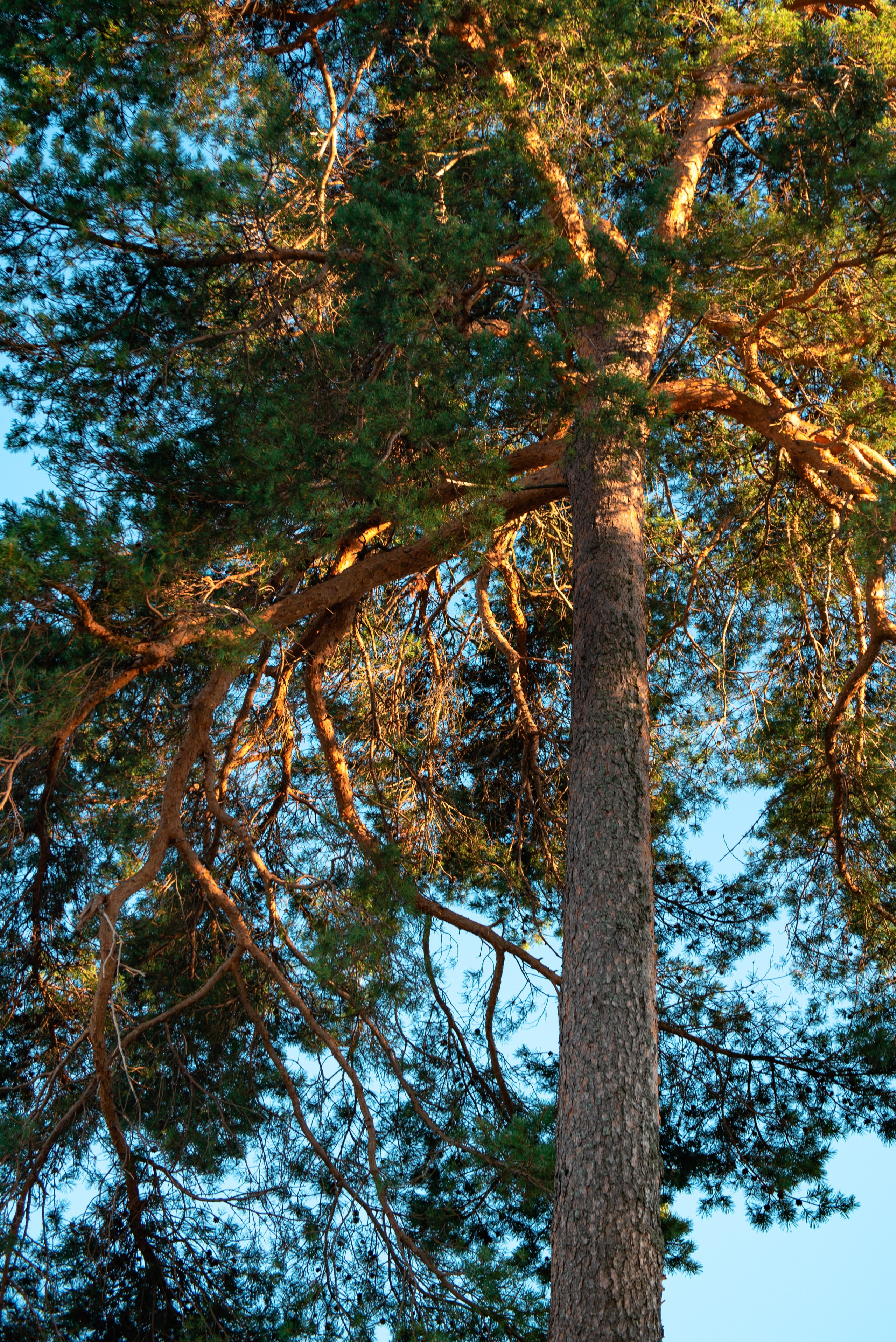 Маяк на Ладоге фотосессия