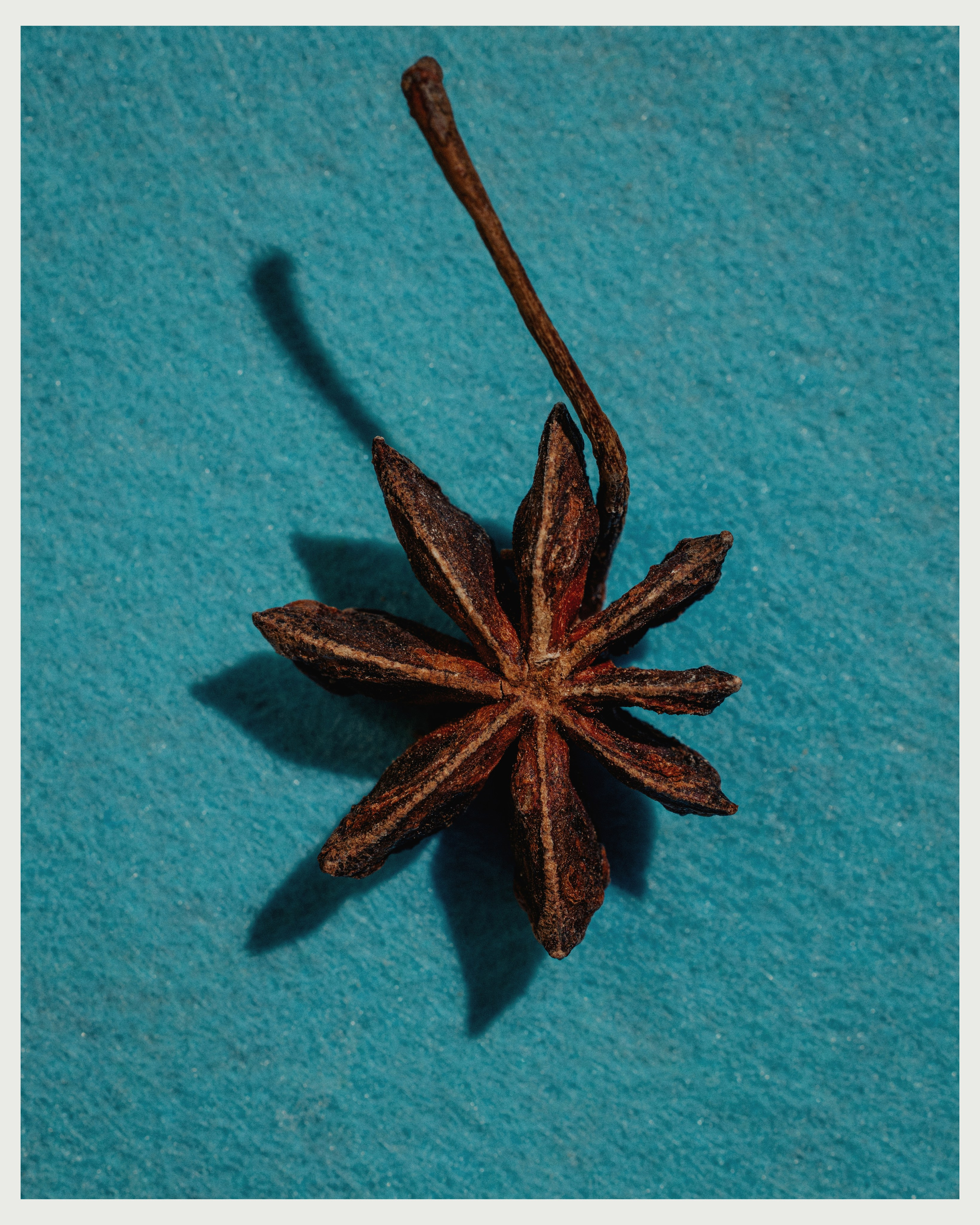 OM x VANO. Ivan Petrov photographer