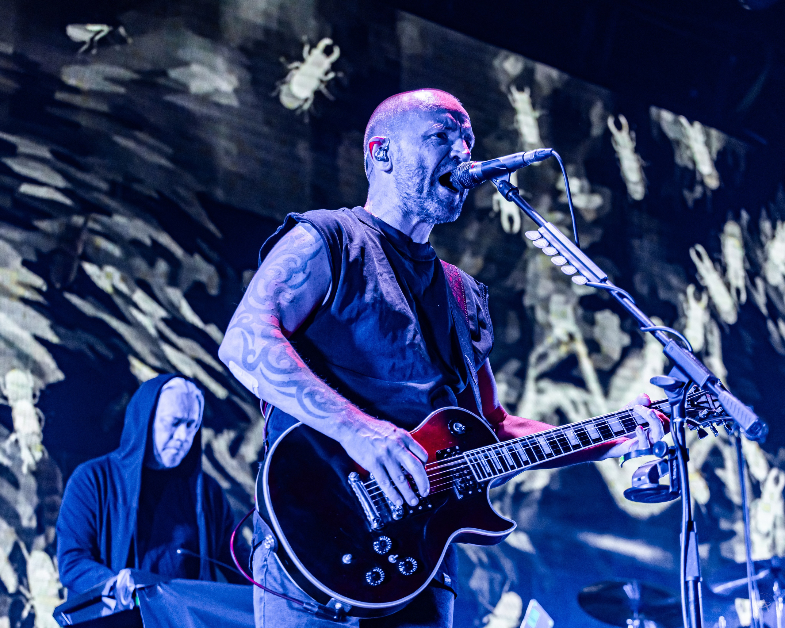 Северный Флот. BASE Club (Москва). Концертный фотограф Аля Рашпиль