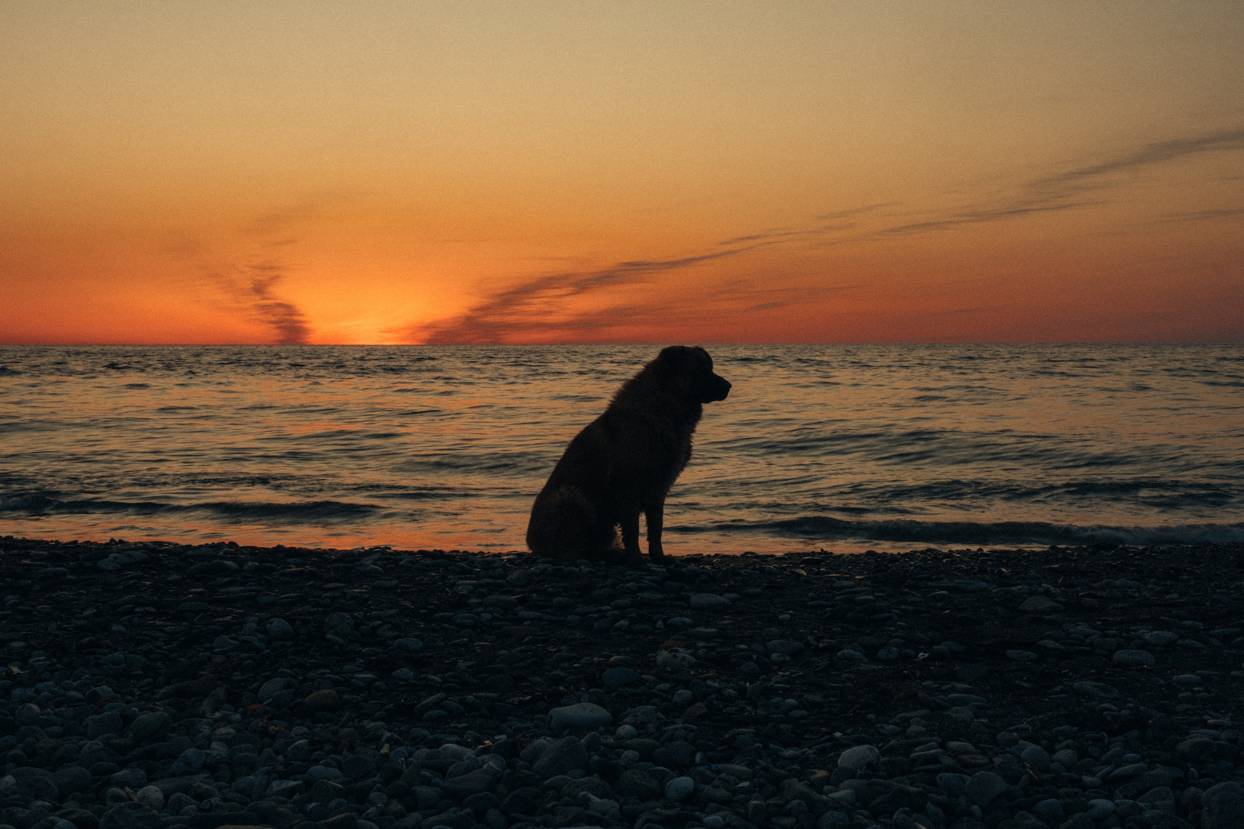 Миро. Свадебный Видеограф Фотограф в Сочи