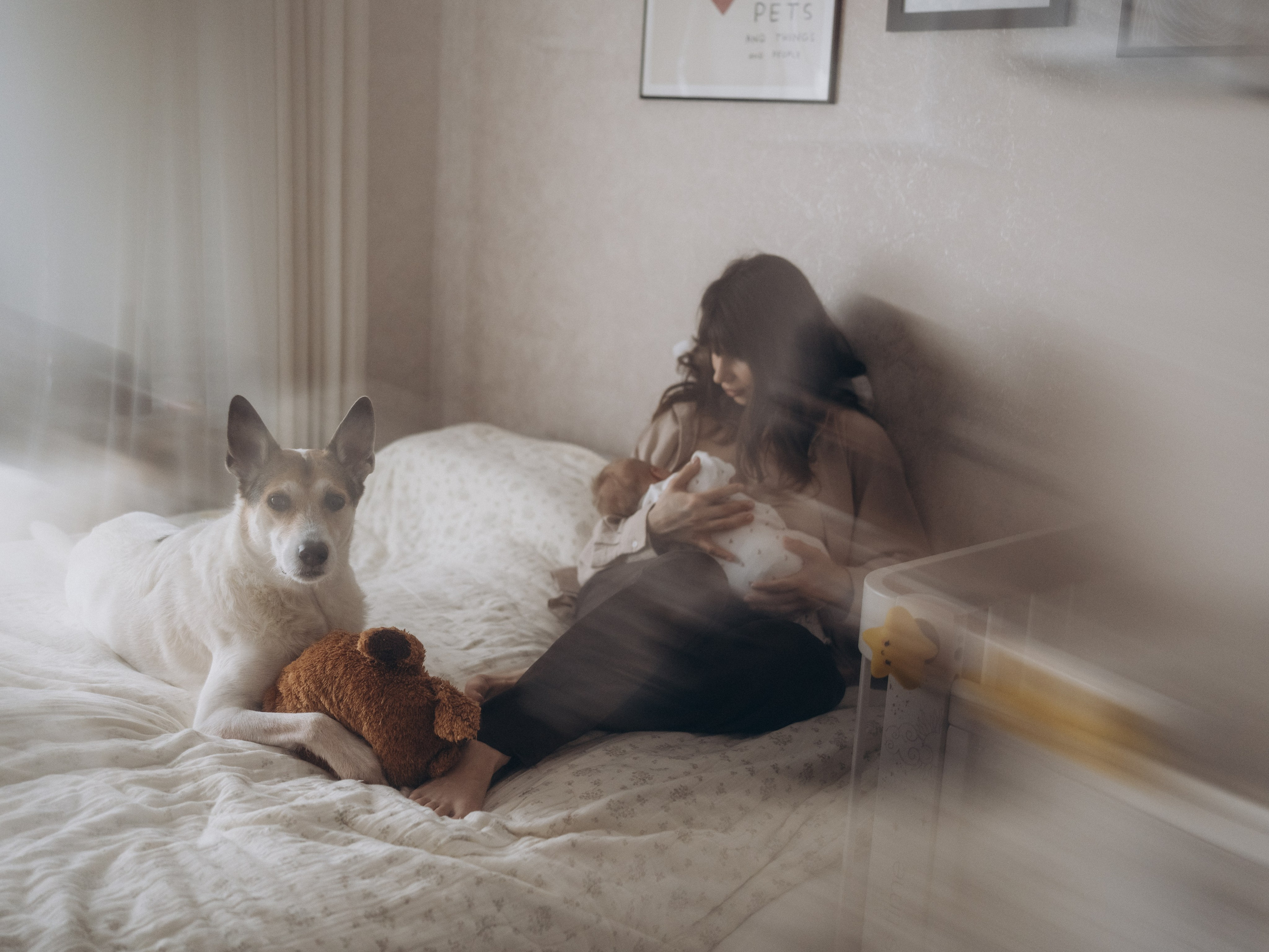 Варя и родители. Семейный фотограф и видеограф в Москве