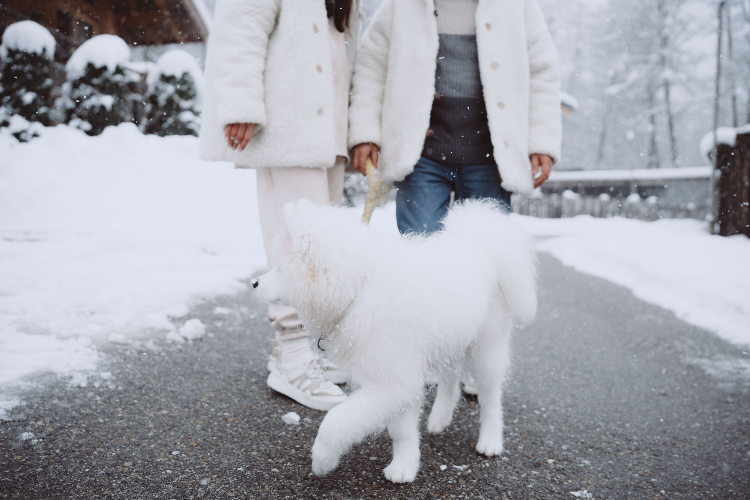 Антон, Дарья и Шани. Фотограф в Сочи Щетинина Анастасия