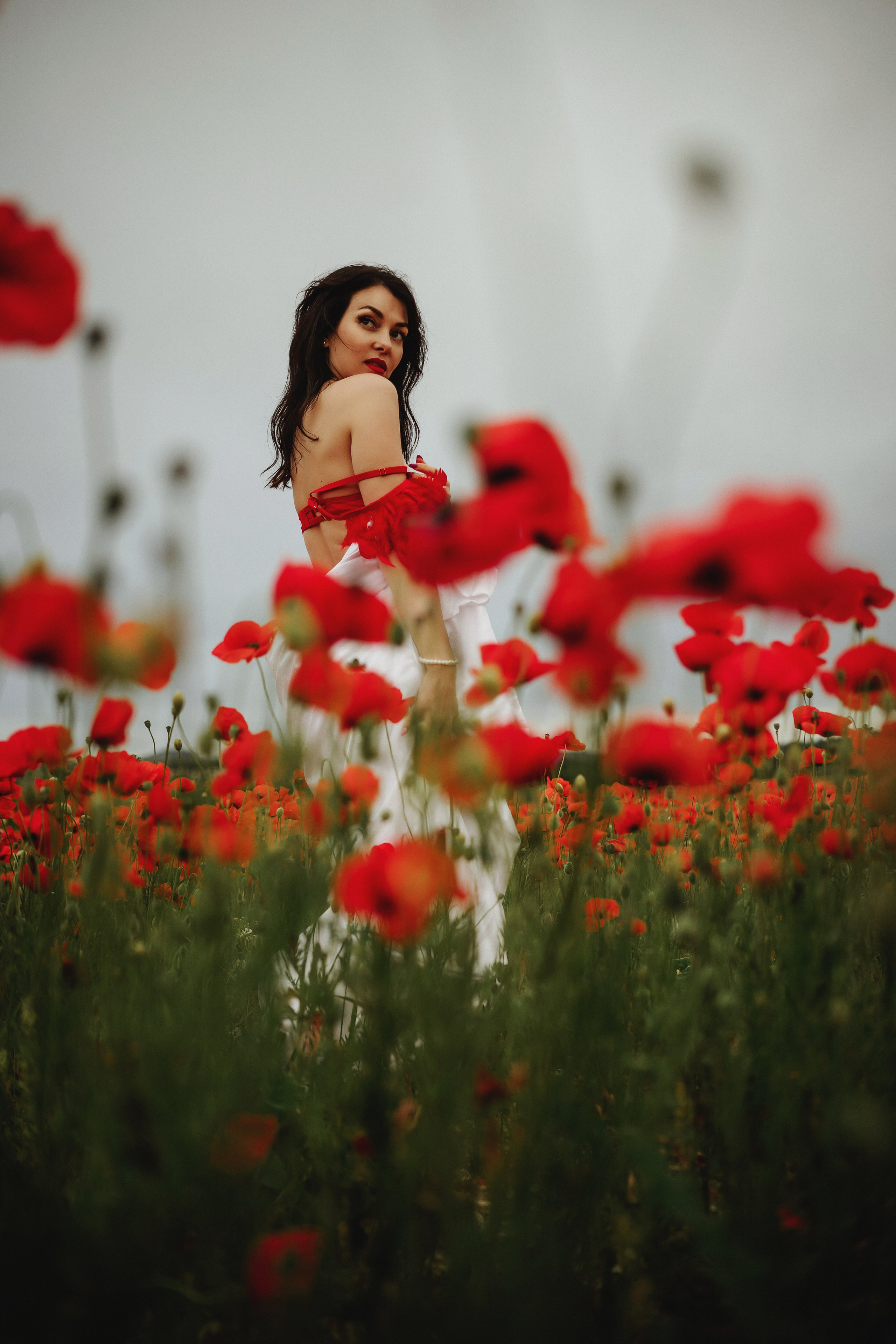 Разные виды съемок. Свадебный и семейный фотограф и видеограф, Крым, Москва, Санкт -Петербург