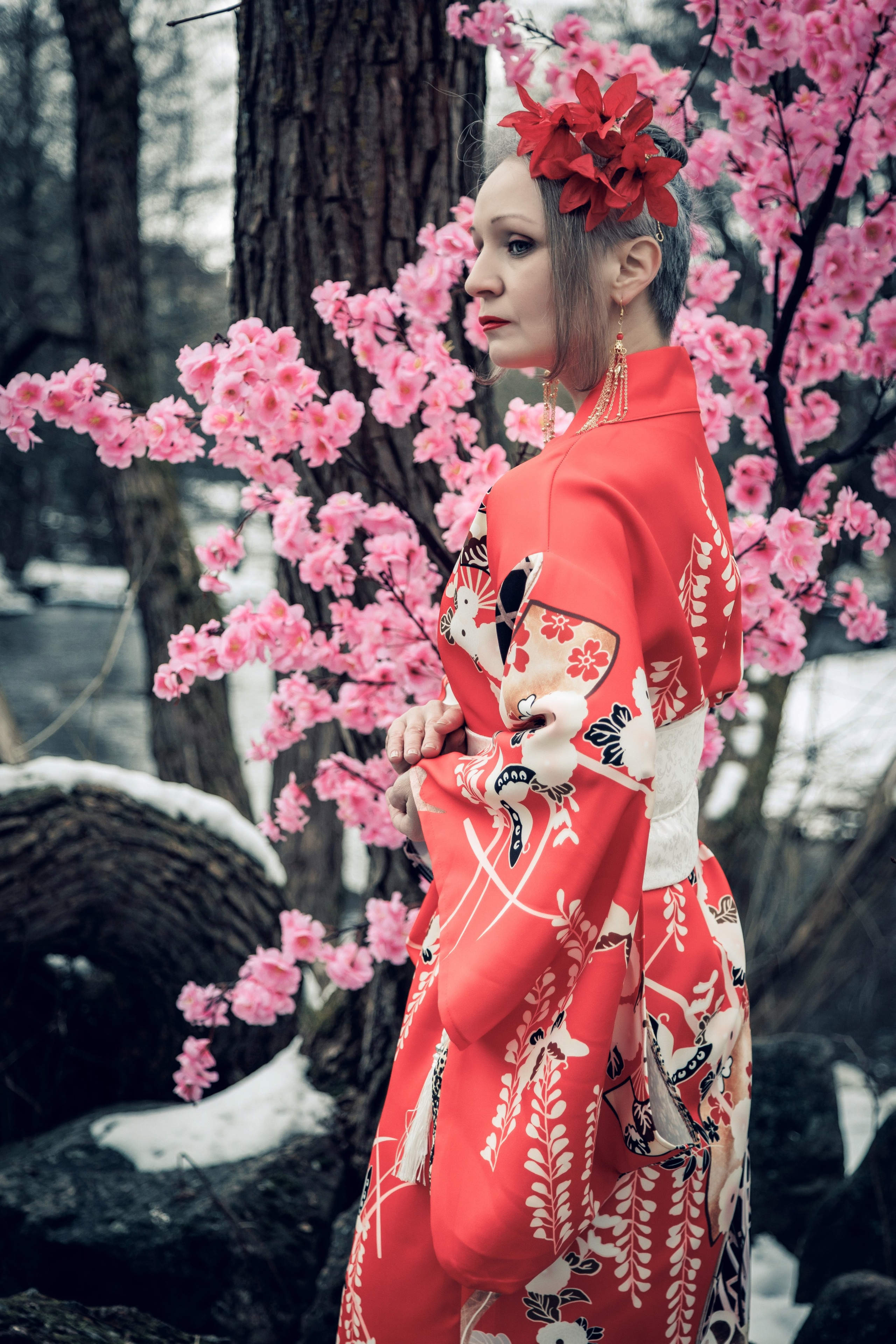 2025-03-02. Сакура