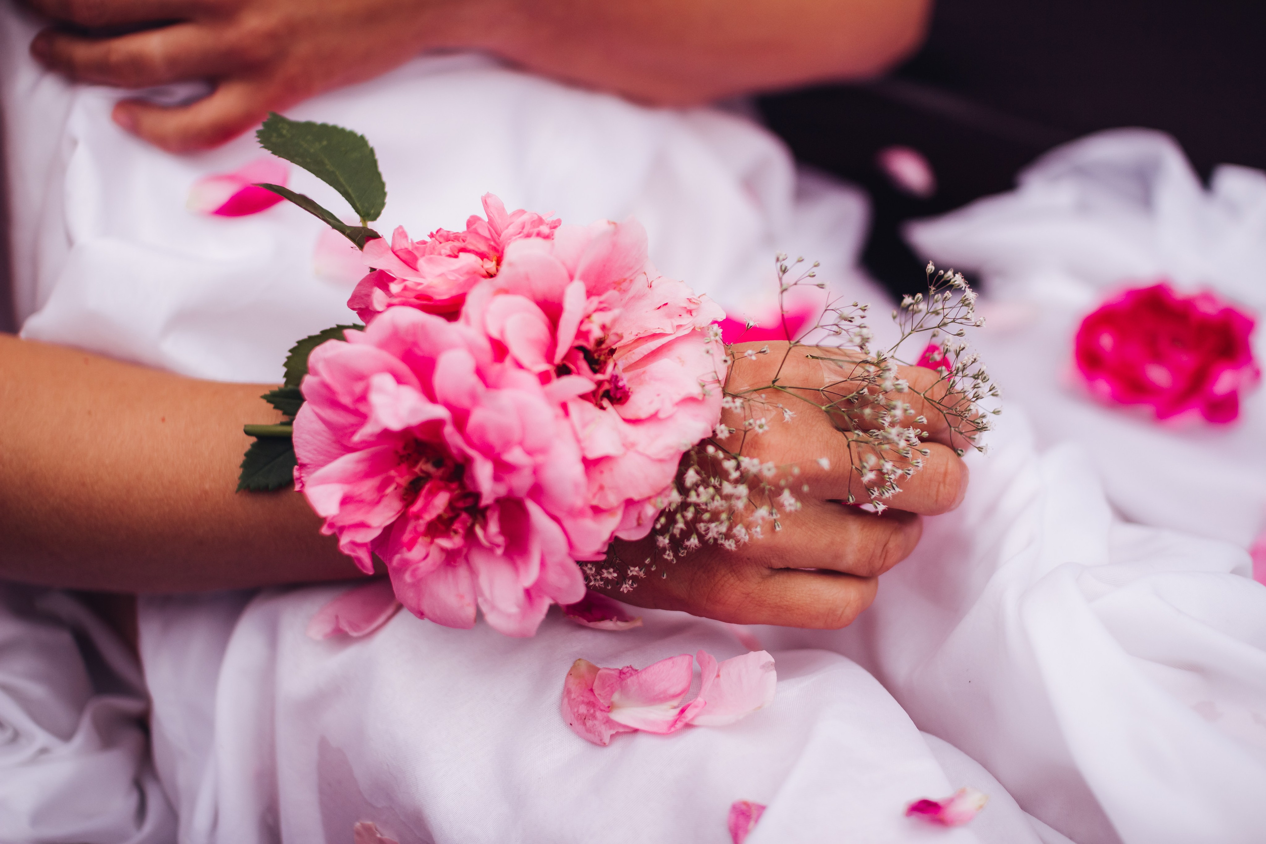 Екатерина розы. Фотограф в Челябинске Филимонова Дарья