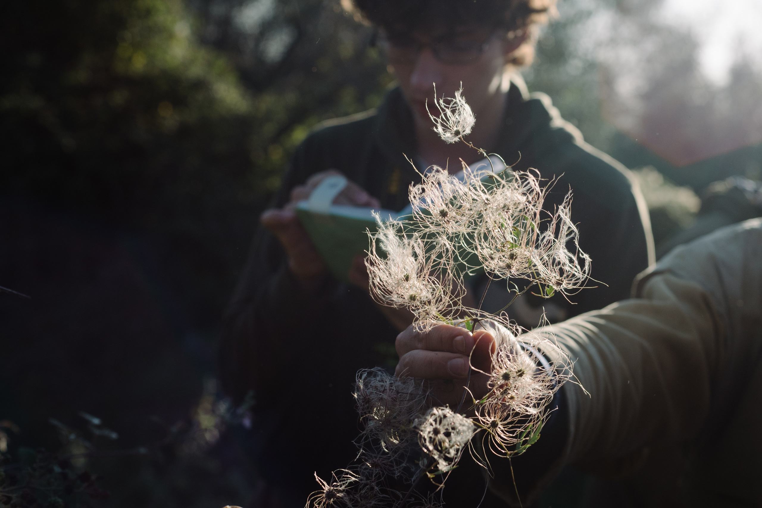 Самур биологи. Фотограф Алиса Калинина