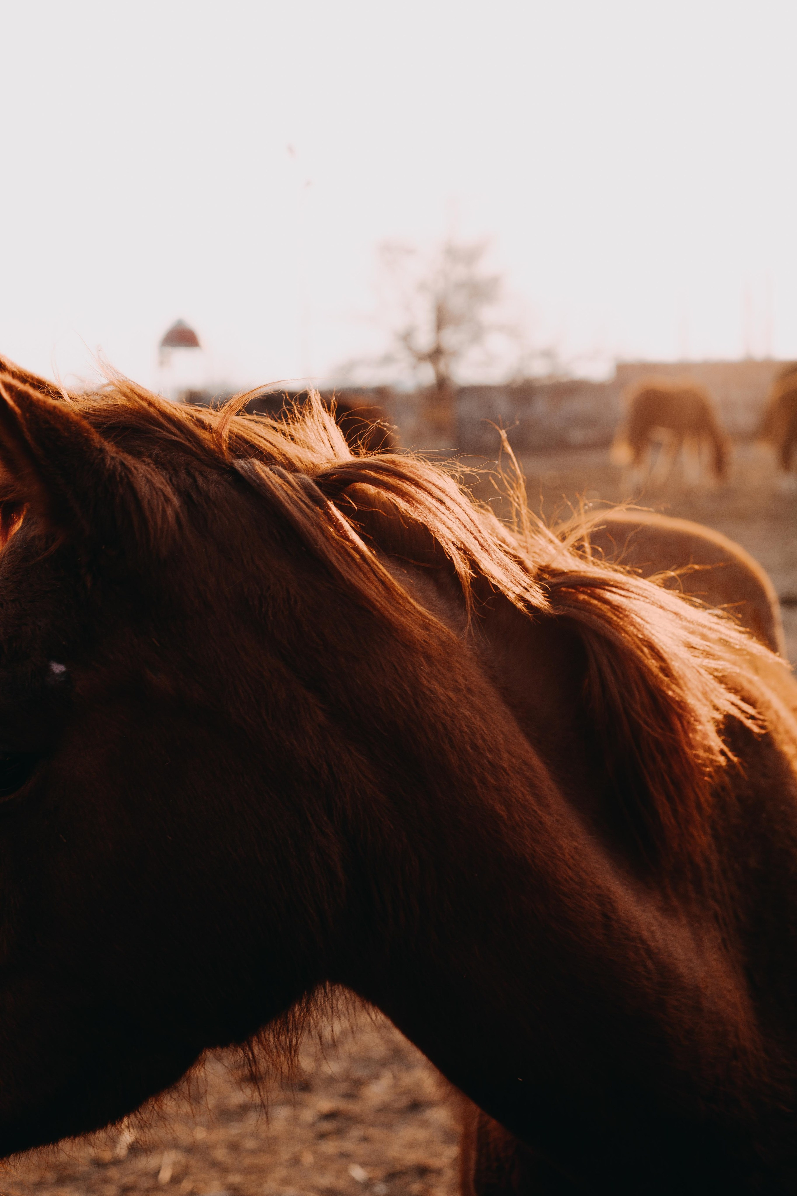 Кадры живут вне времени. Фотограф Юлия Курочкина