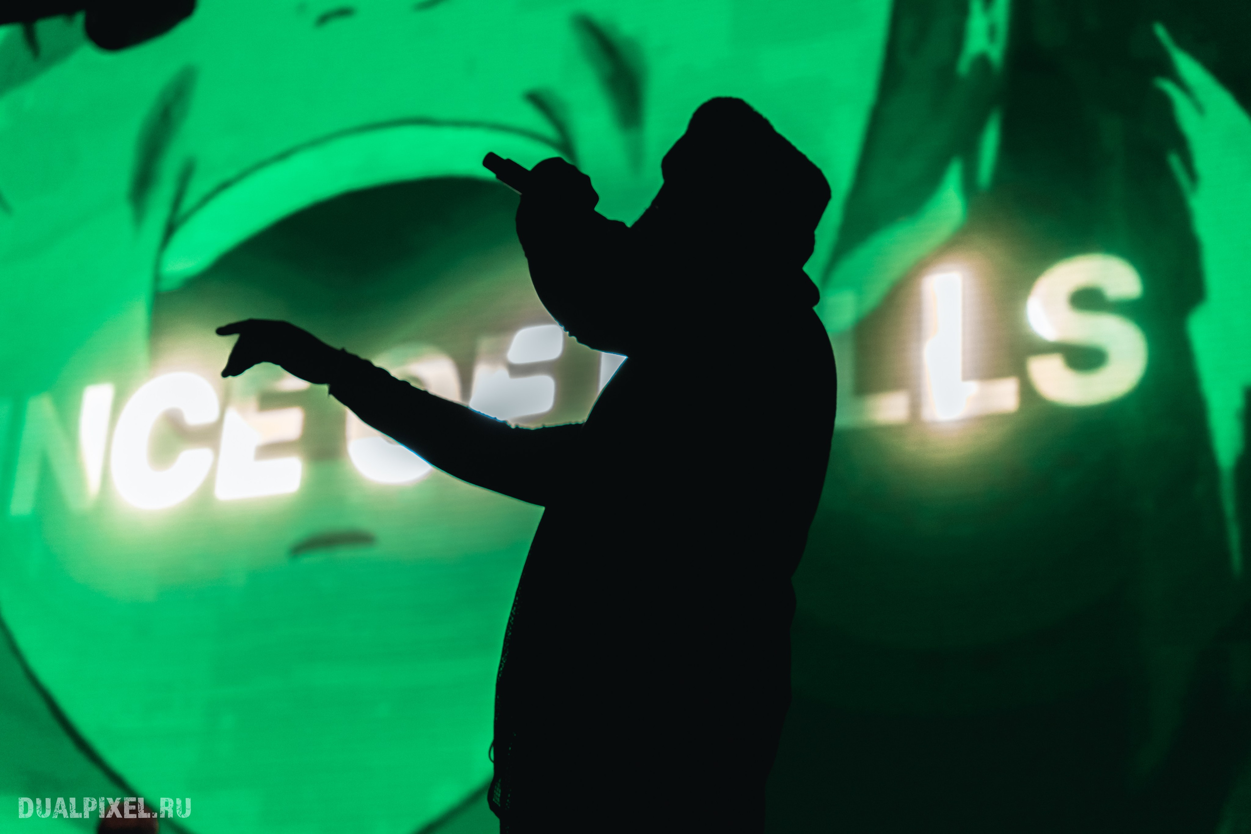 Prince Of Falls. Магия музыки в кадре: Концертная Фотография