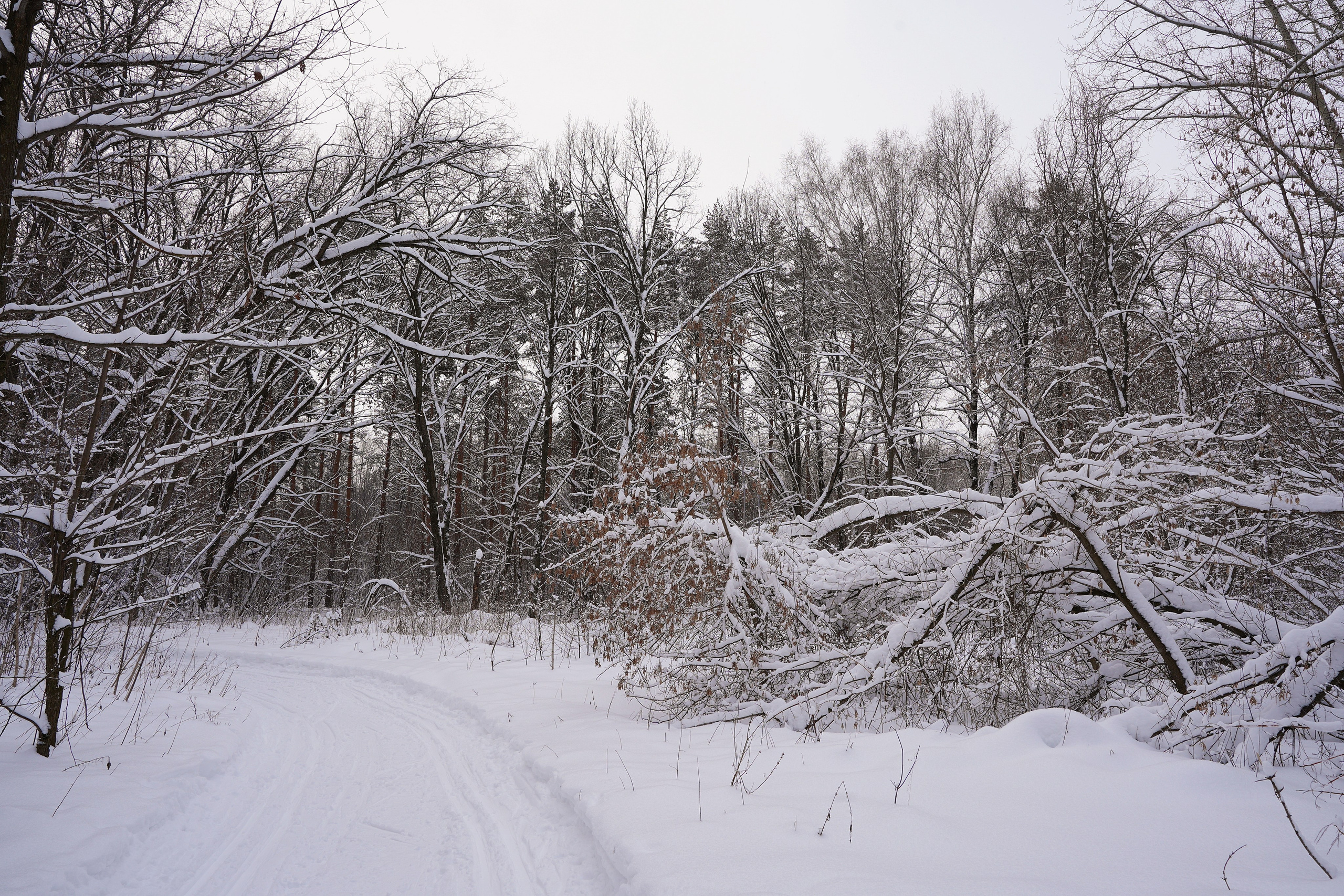 Пейзаж. Pupov.png