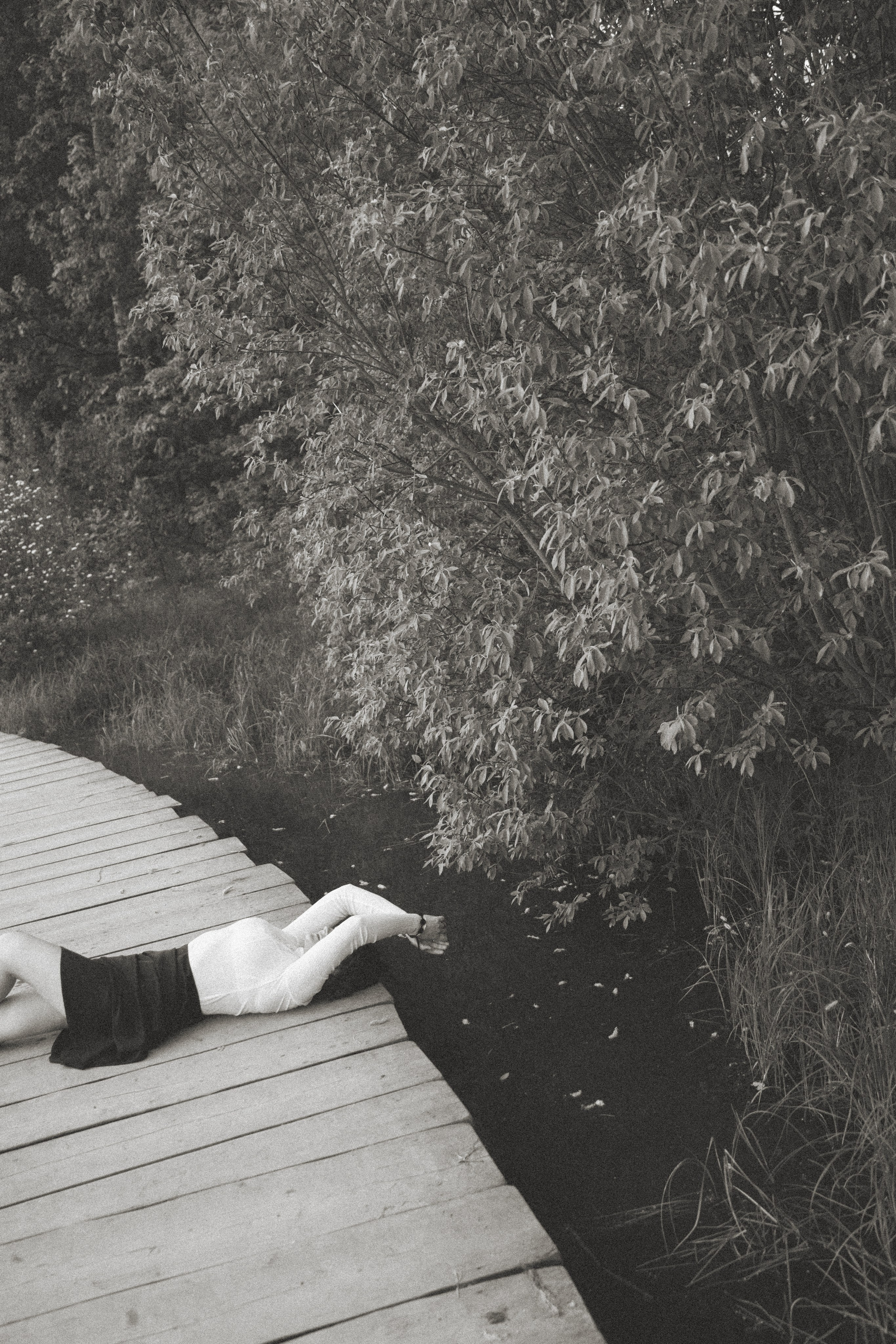 Между маем и июнем. Фотограф Москва Селюкова Юлия