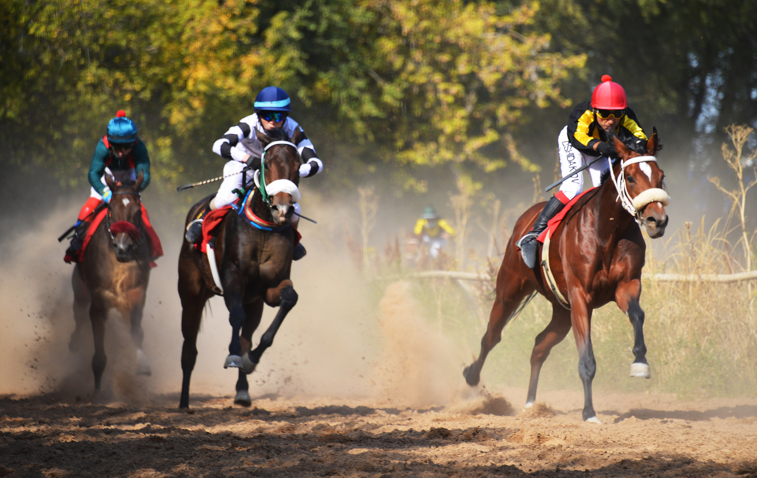 Скачки. Фотосъёмка. Фотограф Сергей Авдеев-семейный и детский фотограф в Алматы